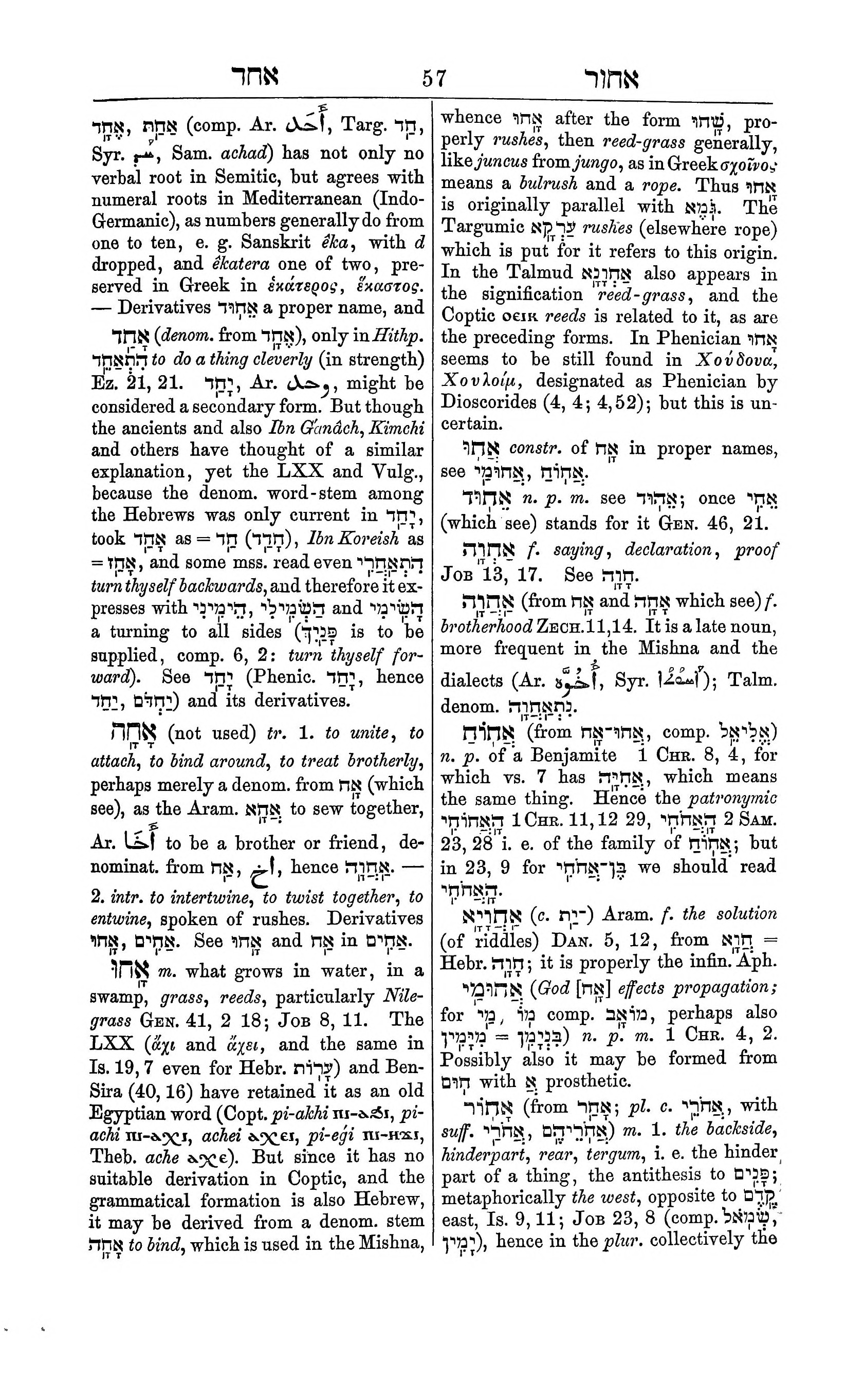 Fürst Lexicon Page 97