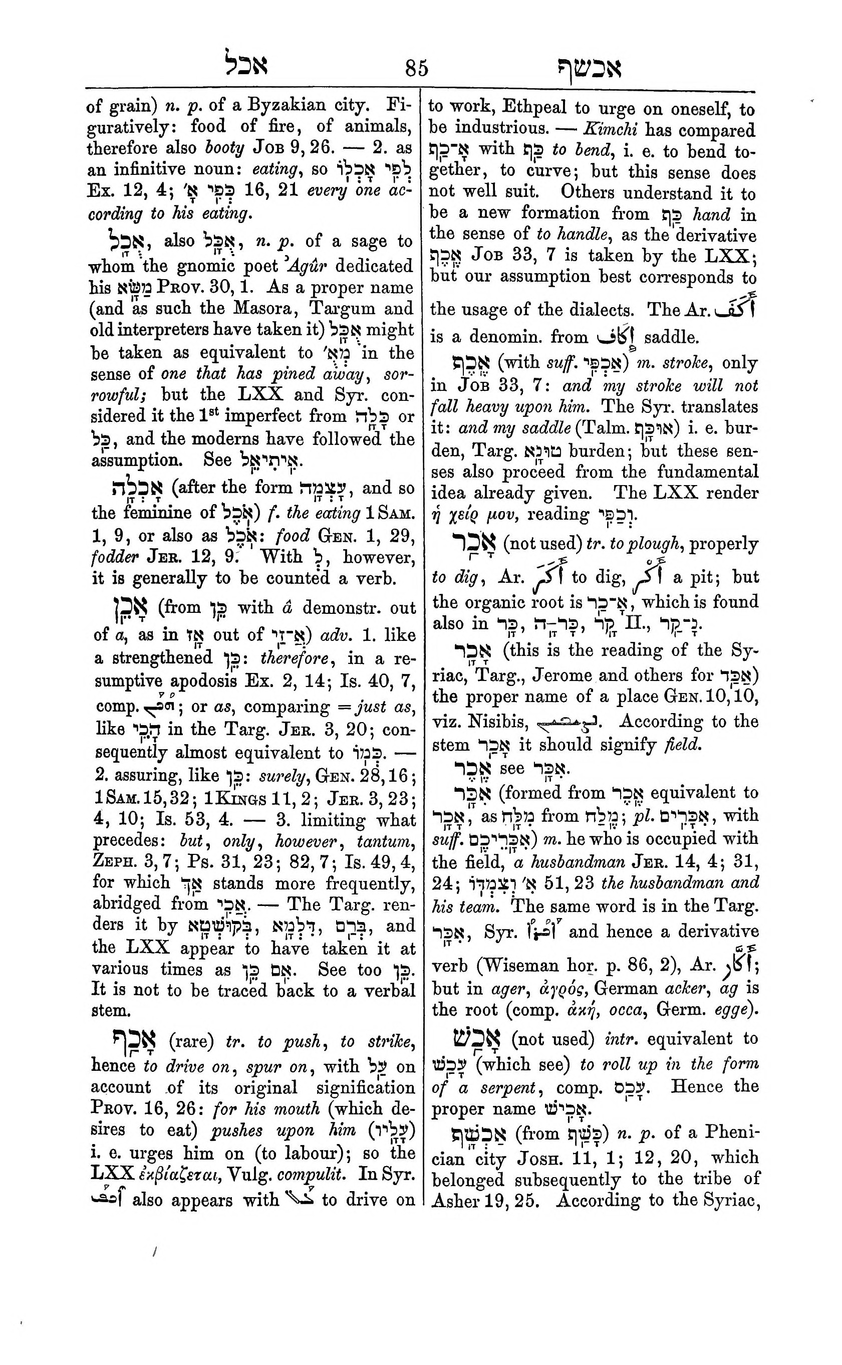 Fürst Lexicon Page 125