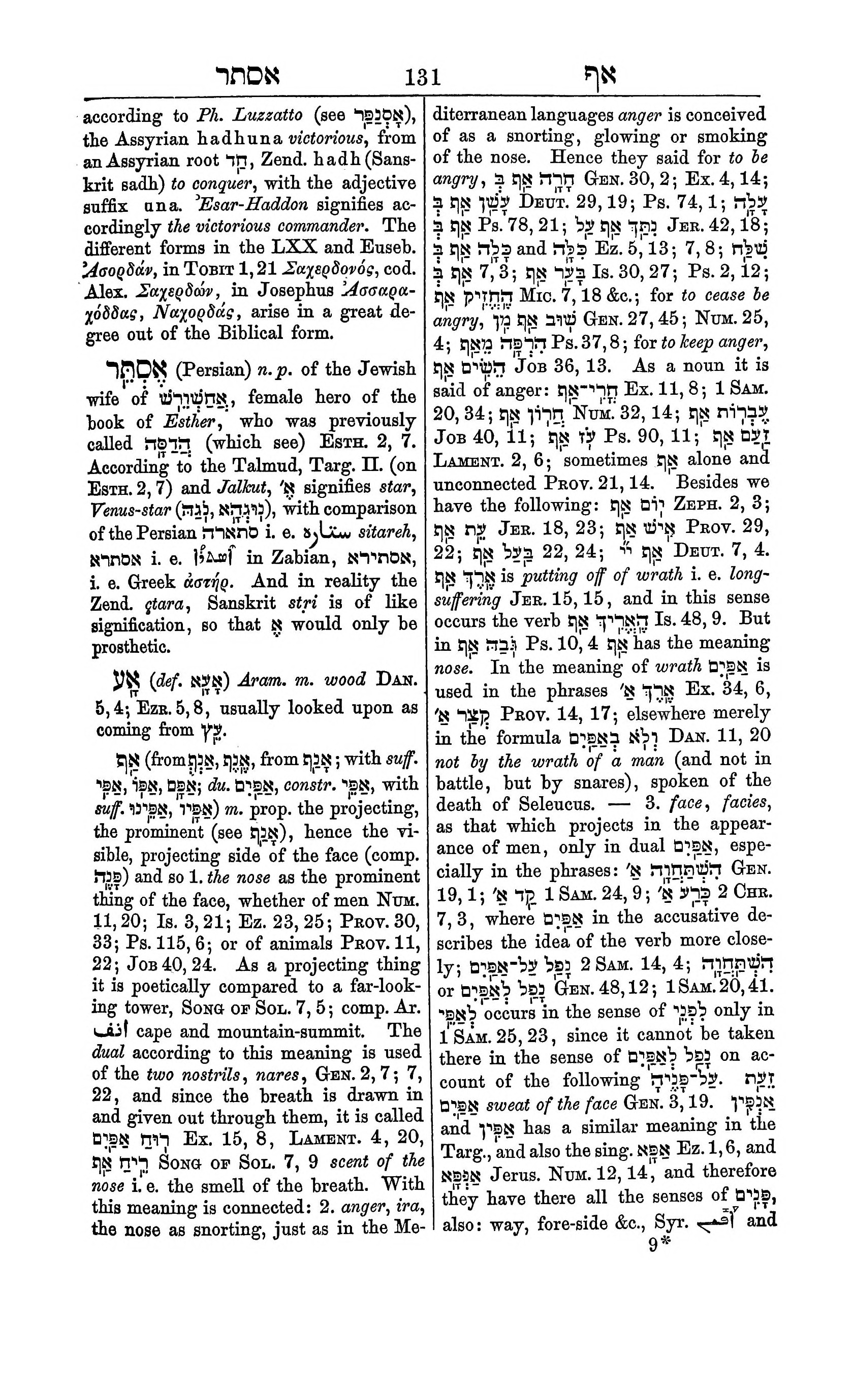 Fürst Lexicon Page 171