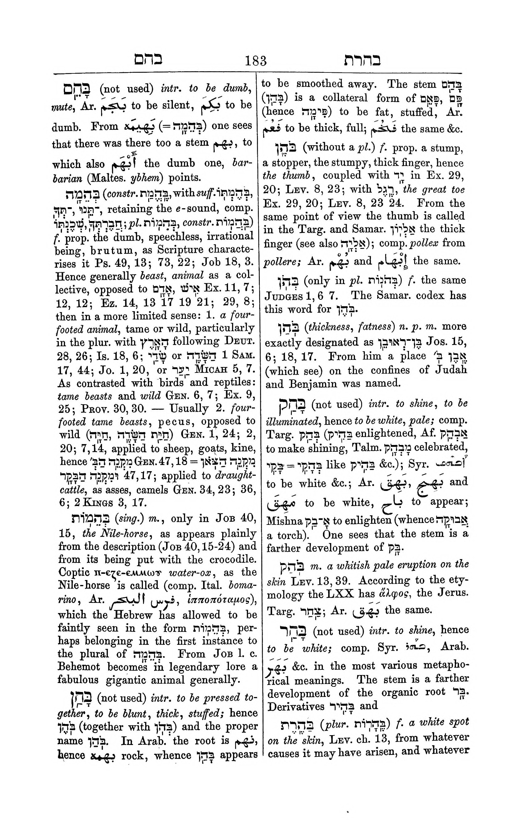Fürst Lexicon Page 223