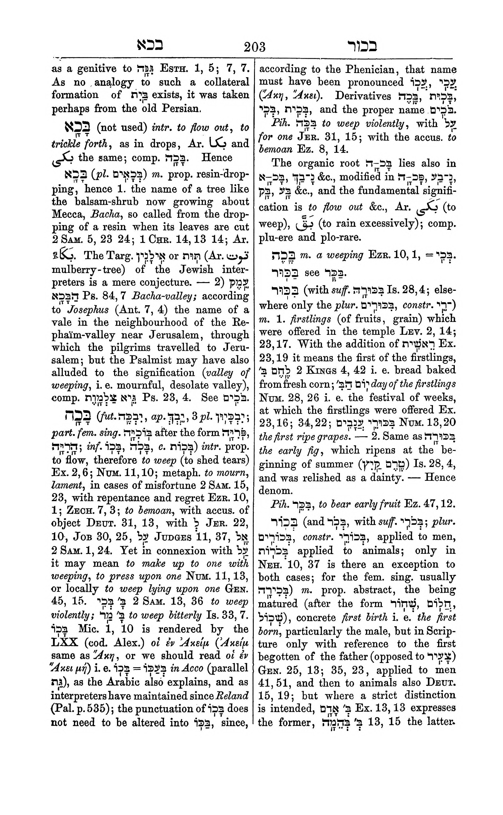 Fürst Lexicon Page 243
