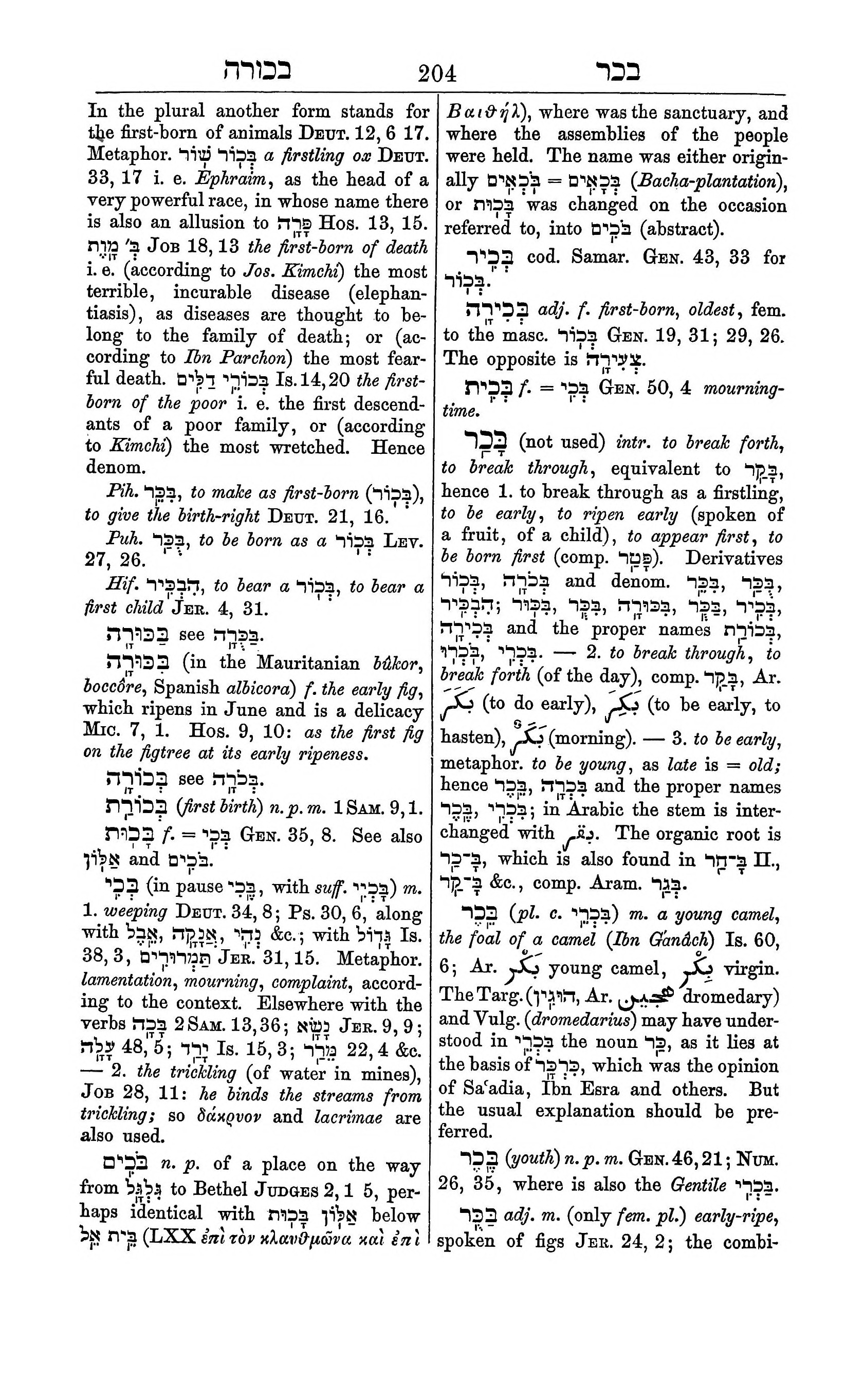 Fürst Lexicon Page 244