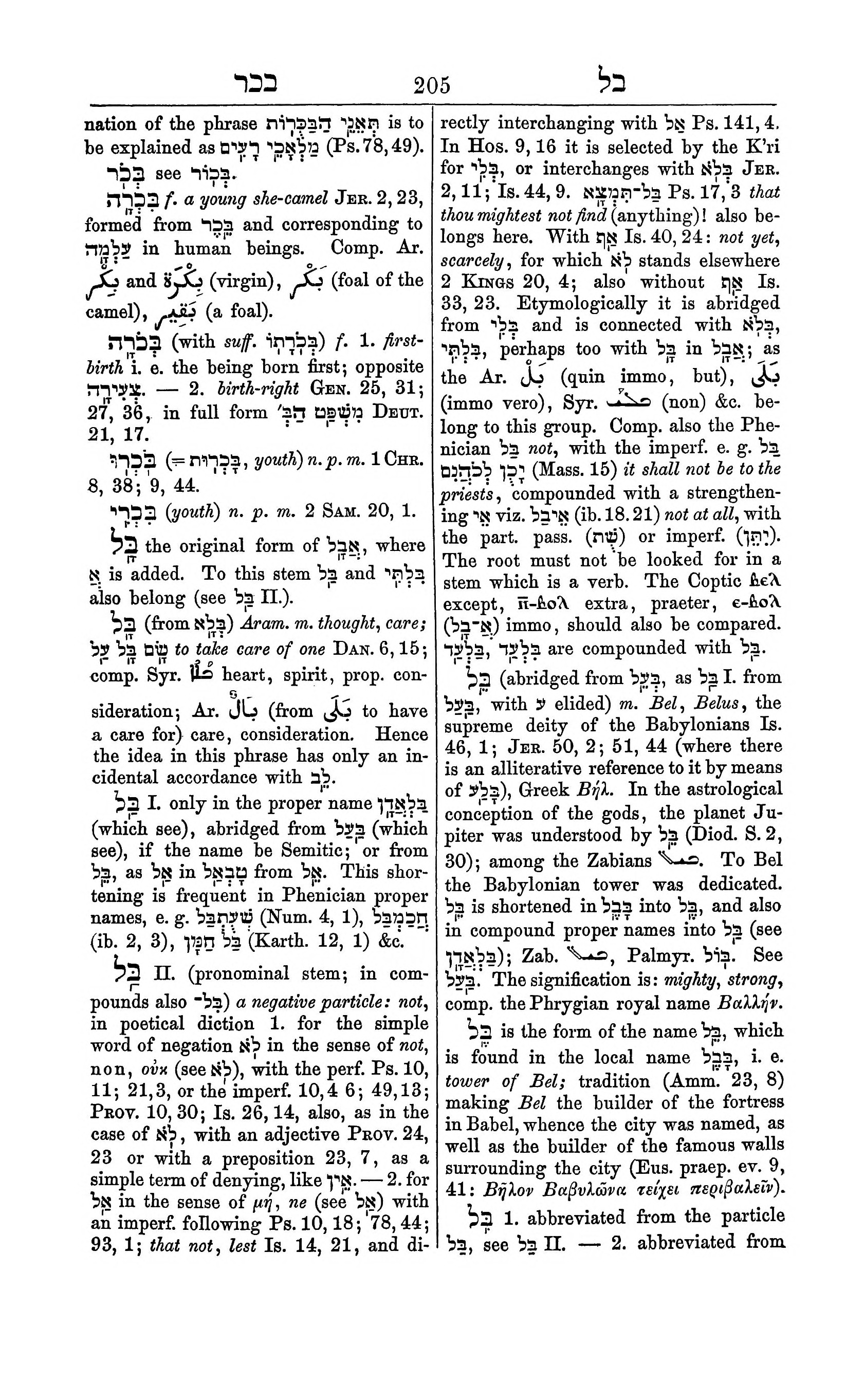 Fürst Lexicon Page 245