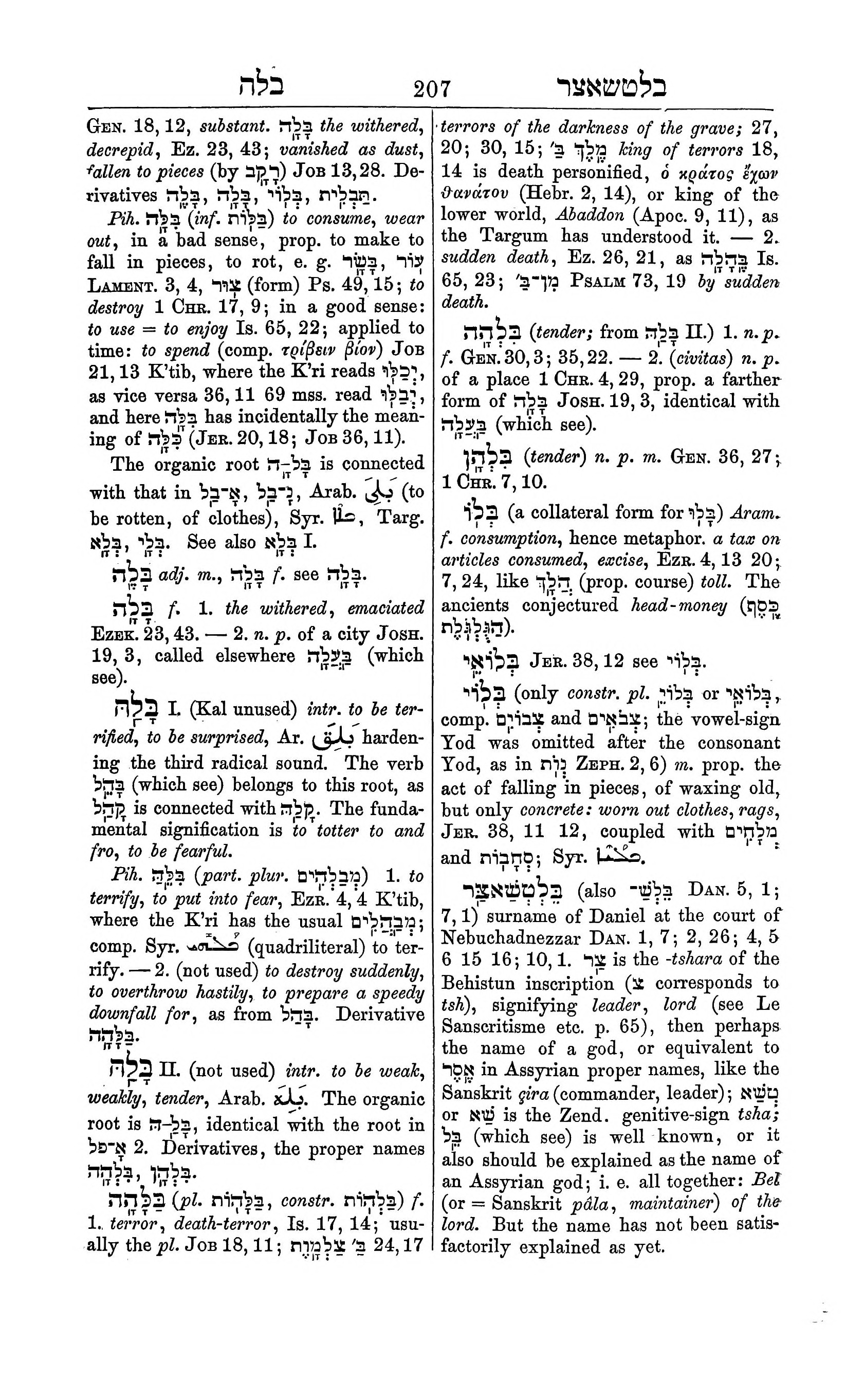 Fürst Lexicon Page 247