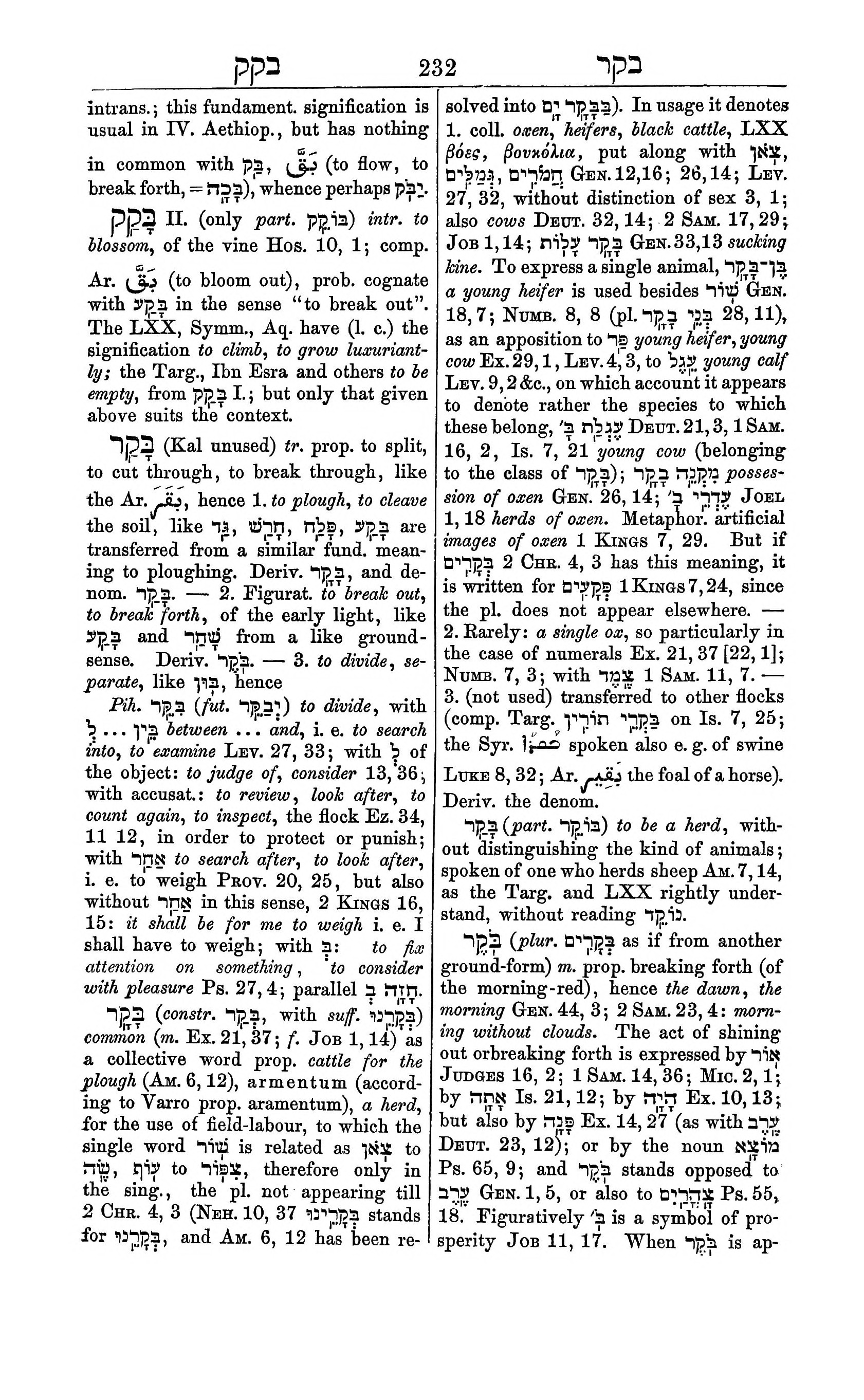 Fürst Lexicon Page 272