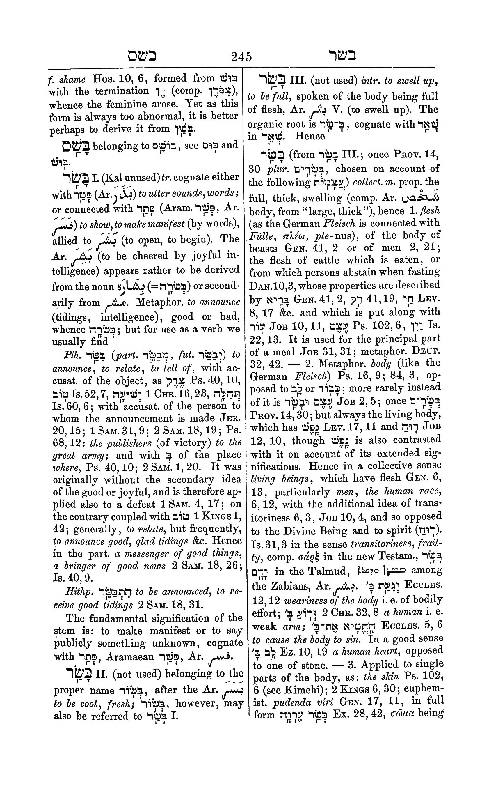 Fürst Lexicon Page 285