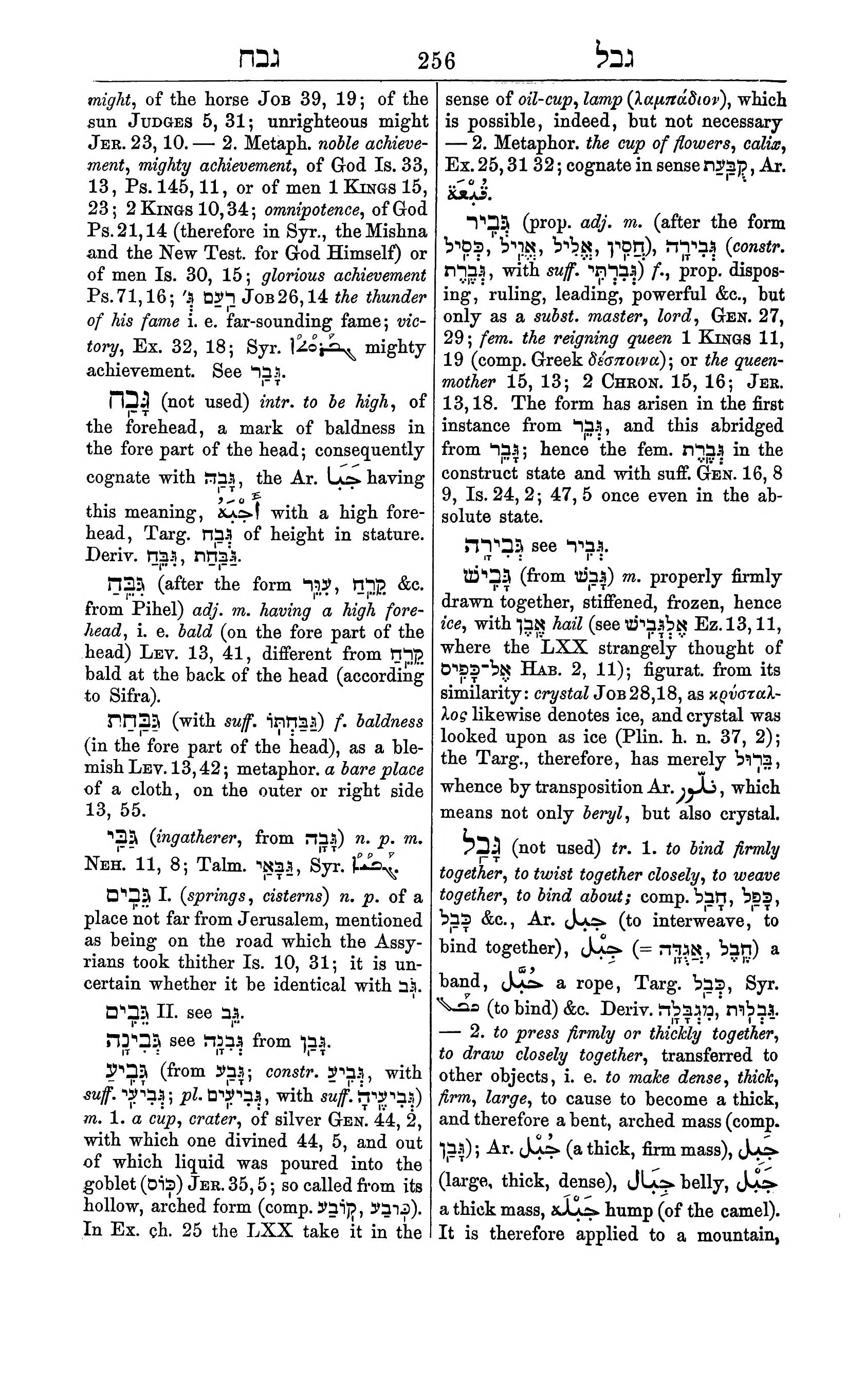Fürst Lexicon Page 296