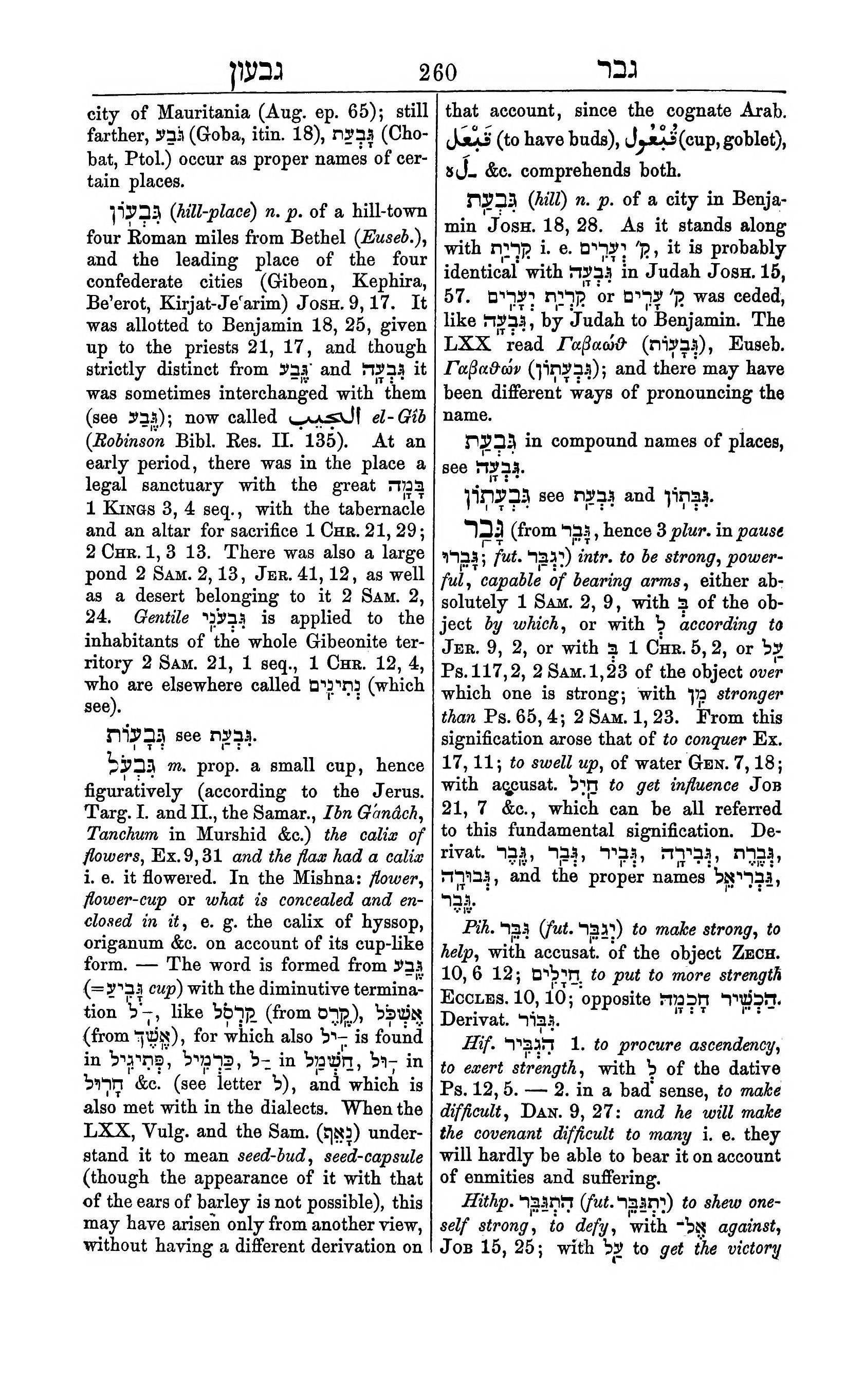 Fürst Lexicon Page 300