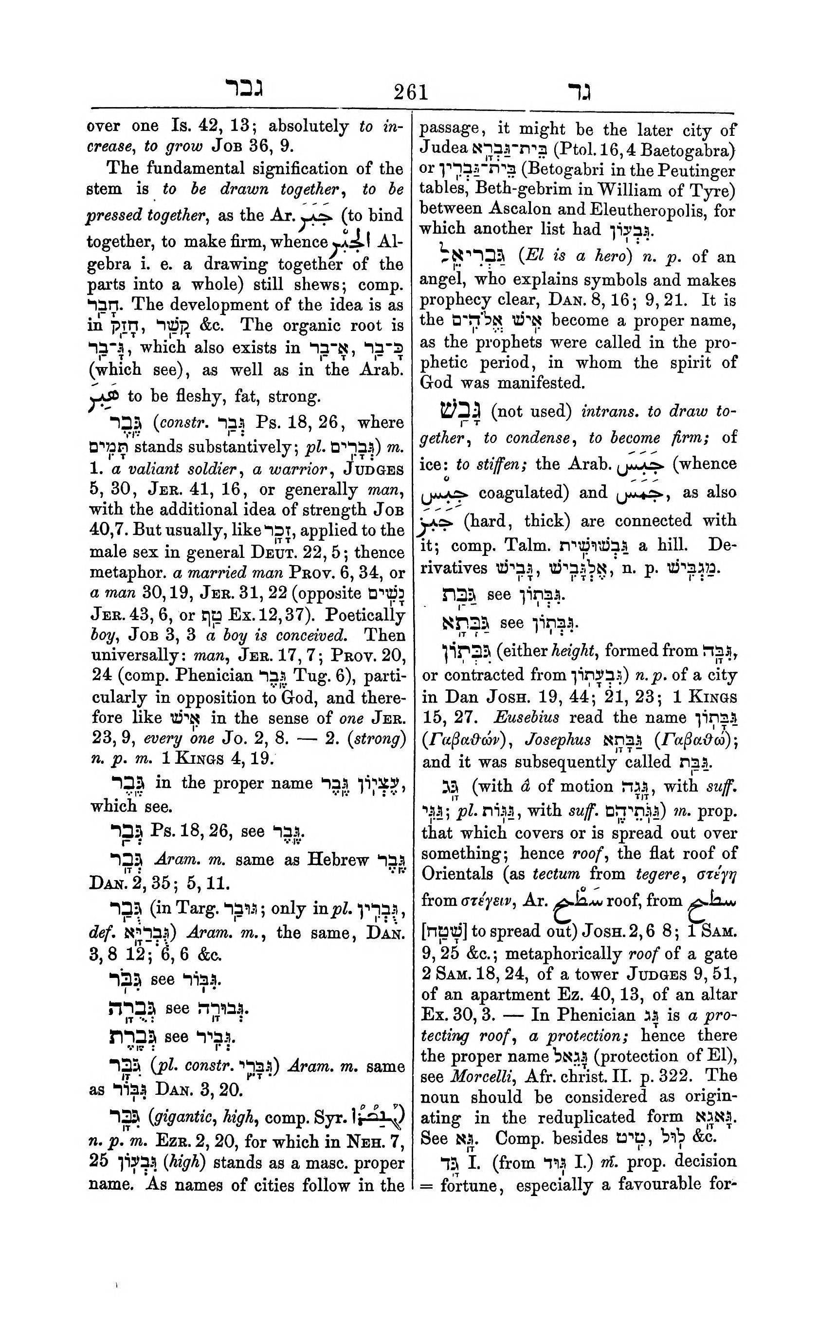 Fürst Lexicon Page 301