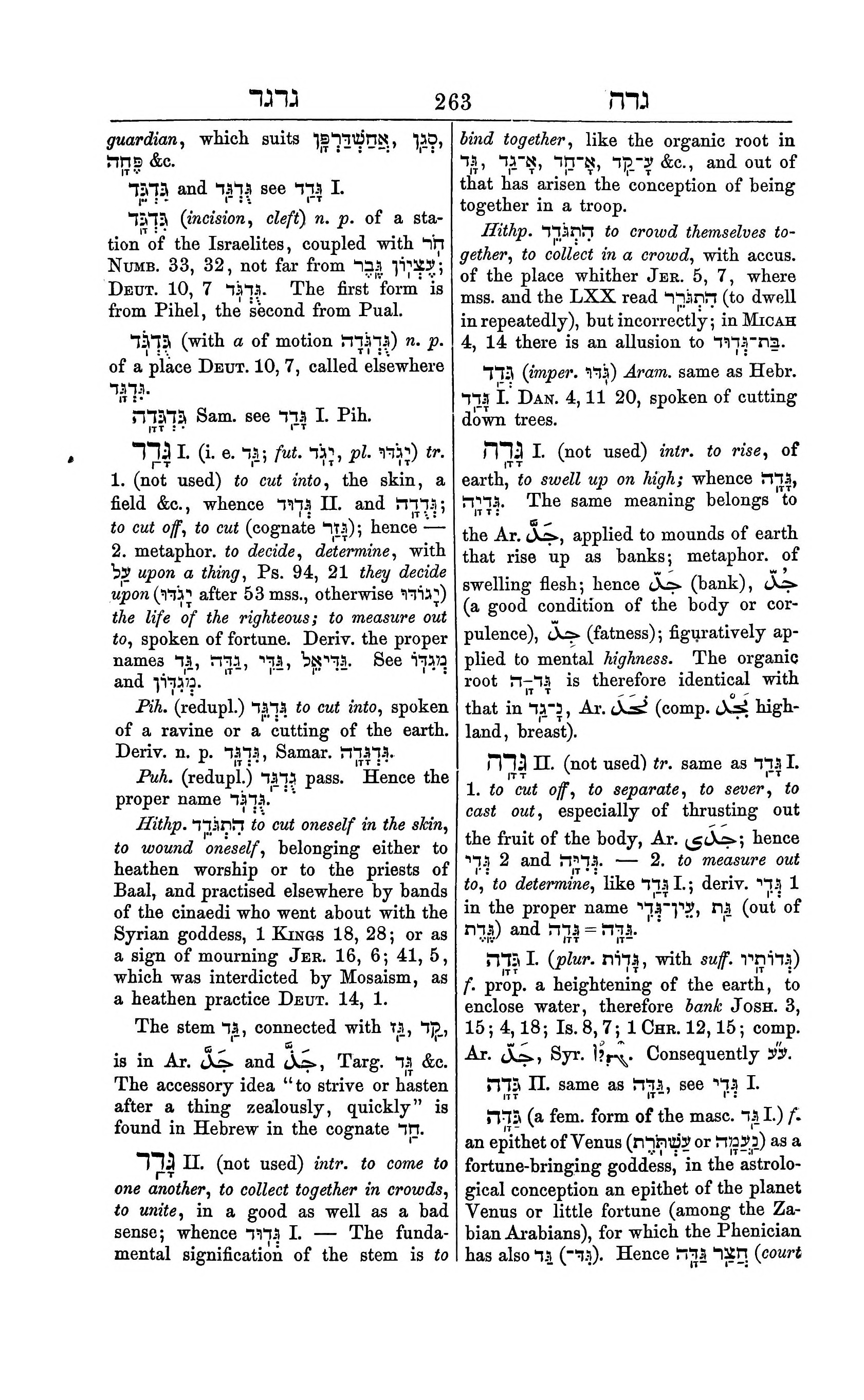 Fürst Lexicon Page 303