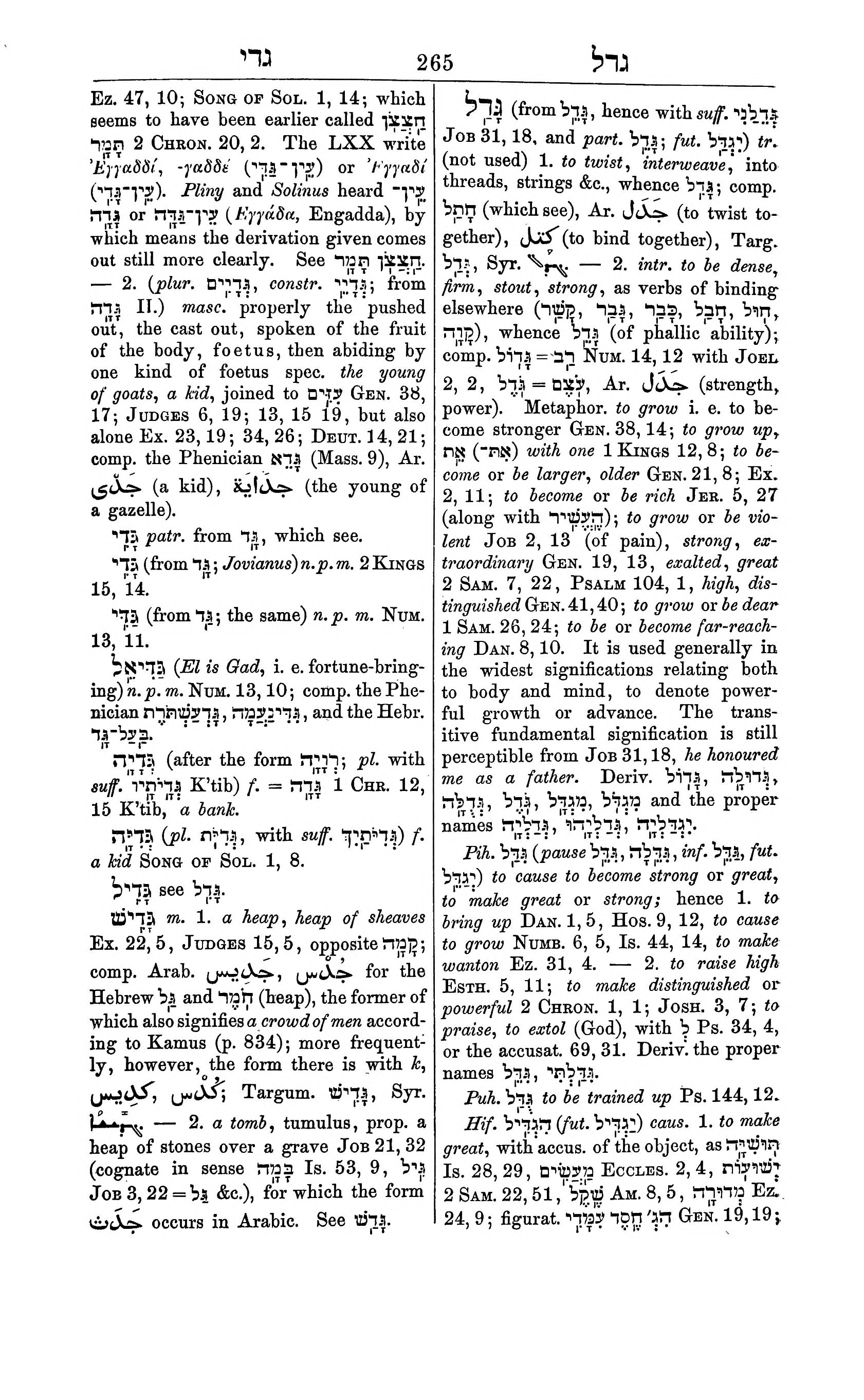 Fürst Lexicon Page 305