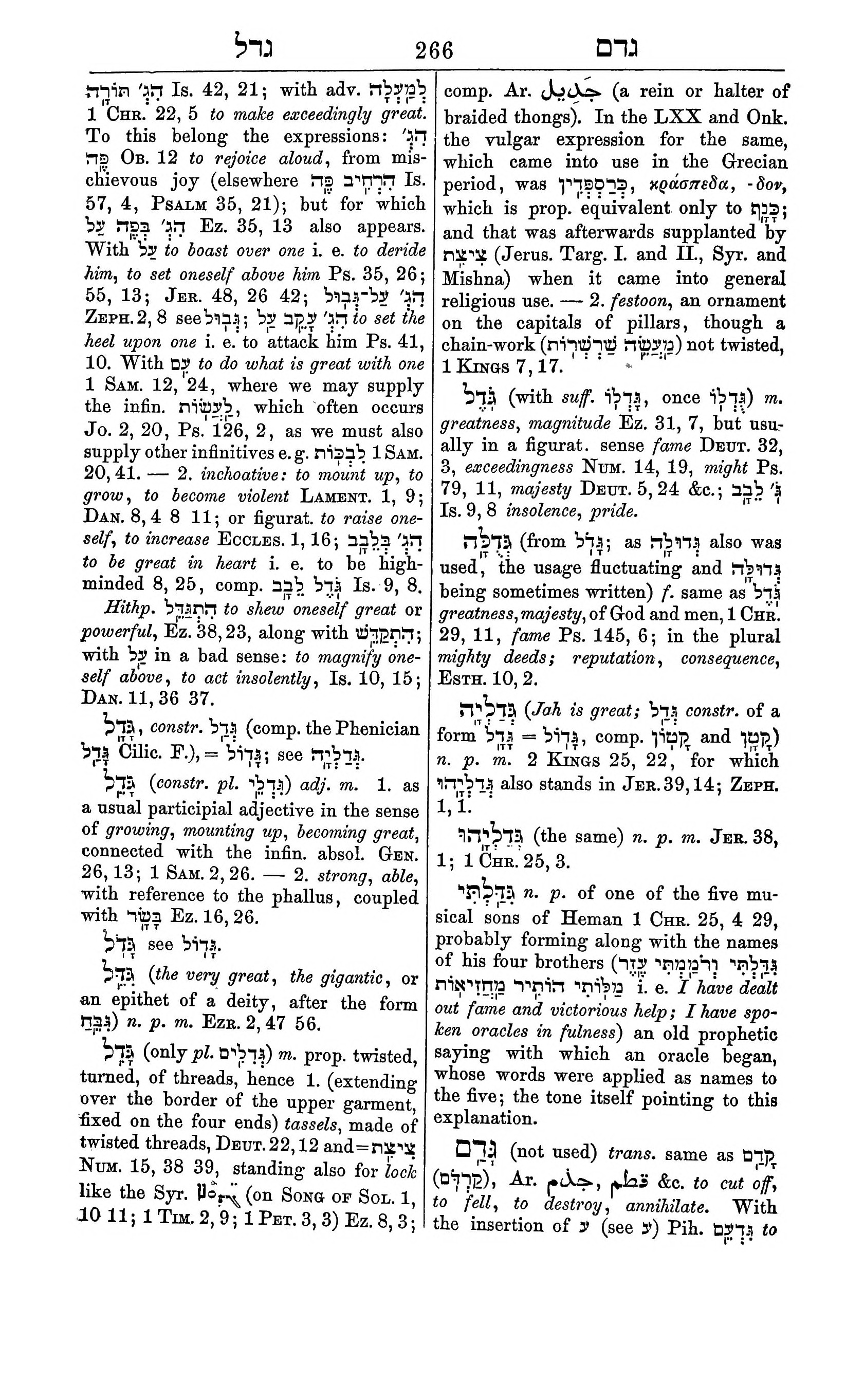 Fürst Lexicon Page 306