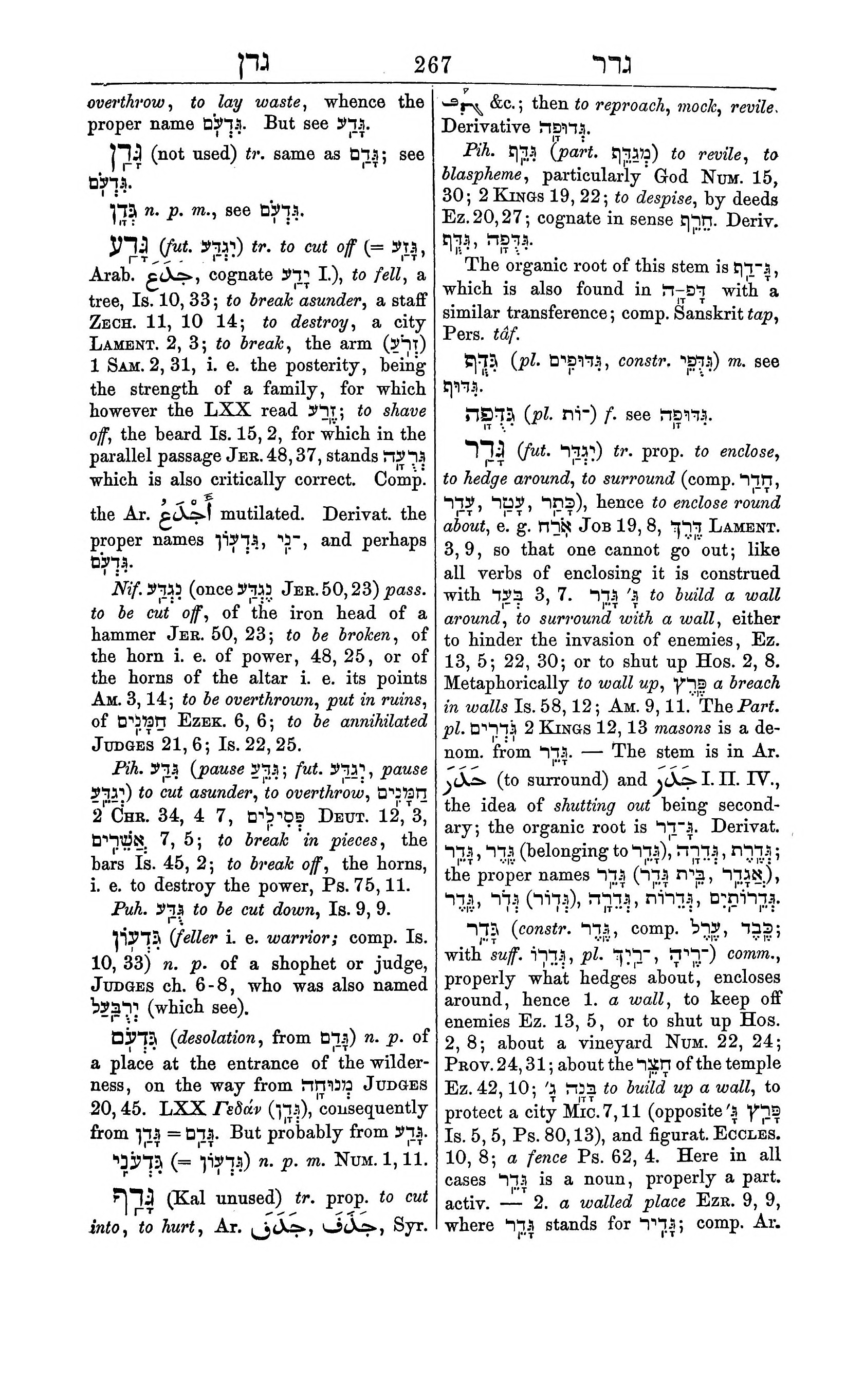 Fürst Lexicon Page 307