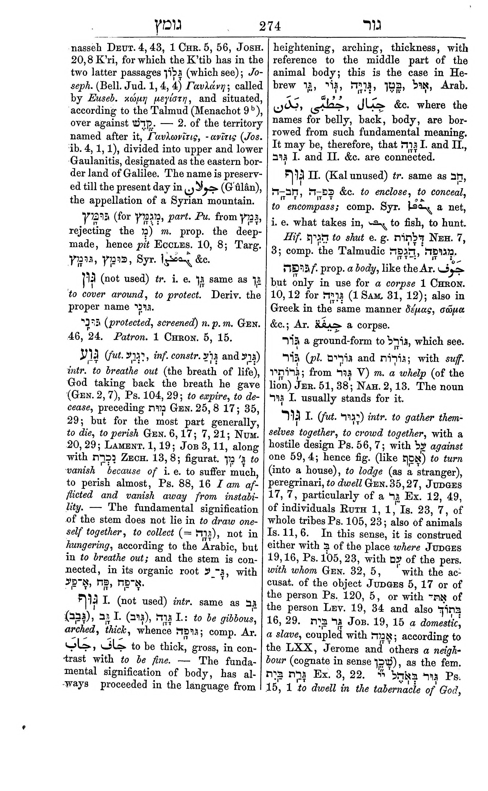 Fürst Lexicon Page 314