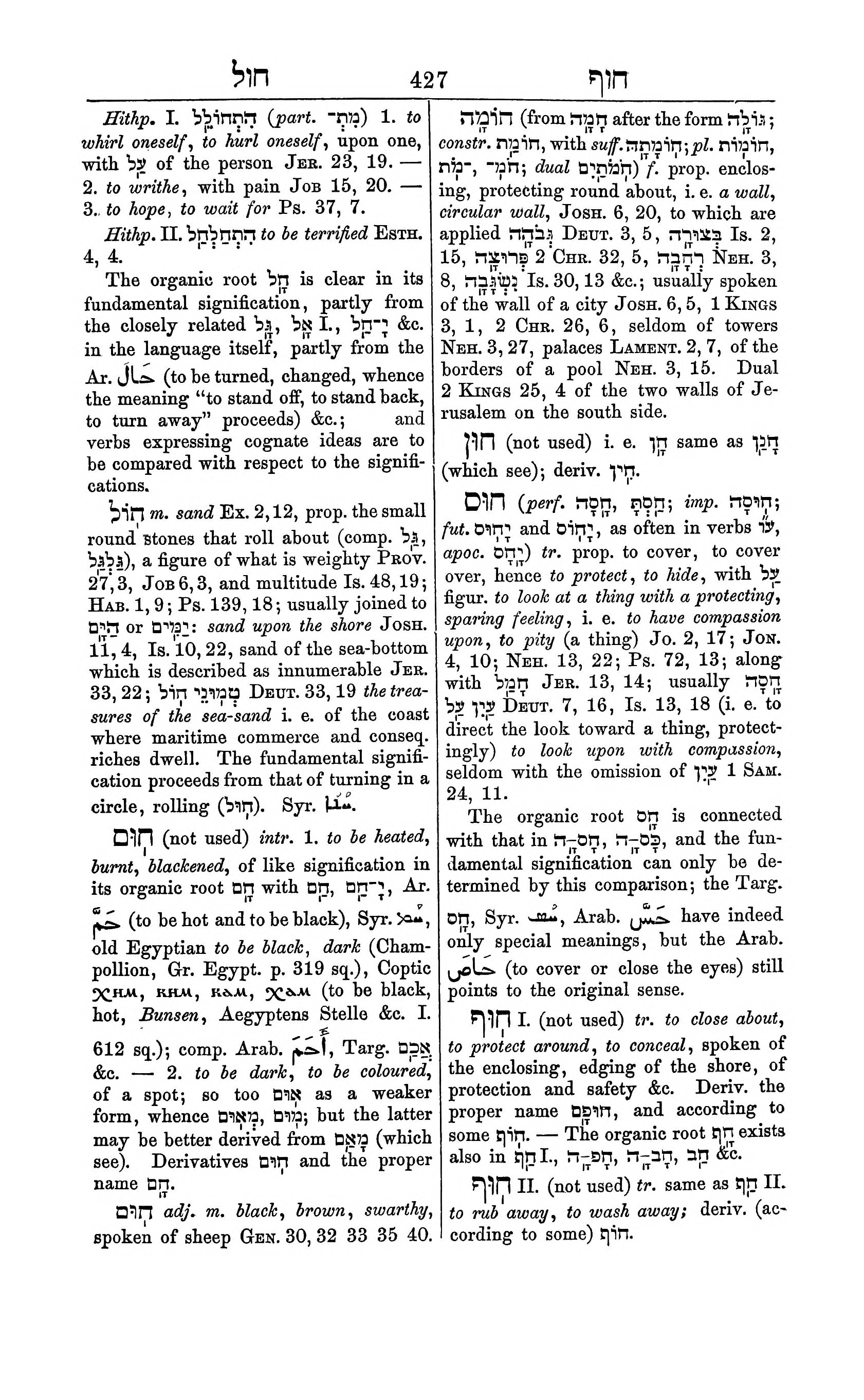 Fürst Lexicon Page 467