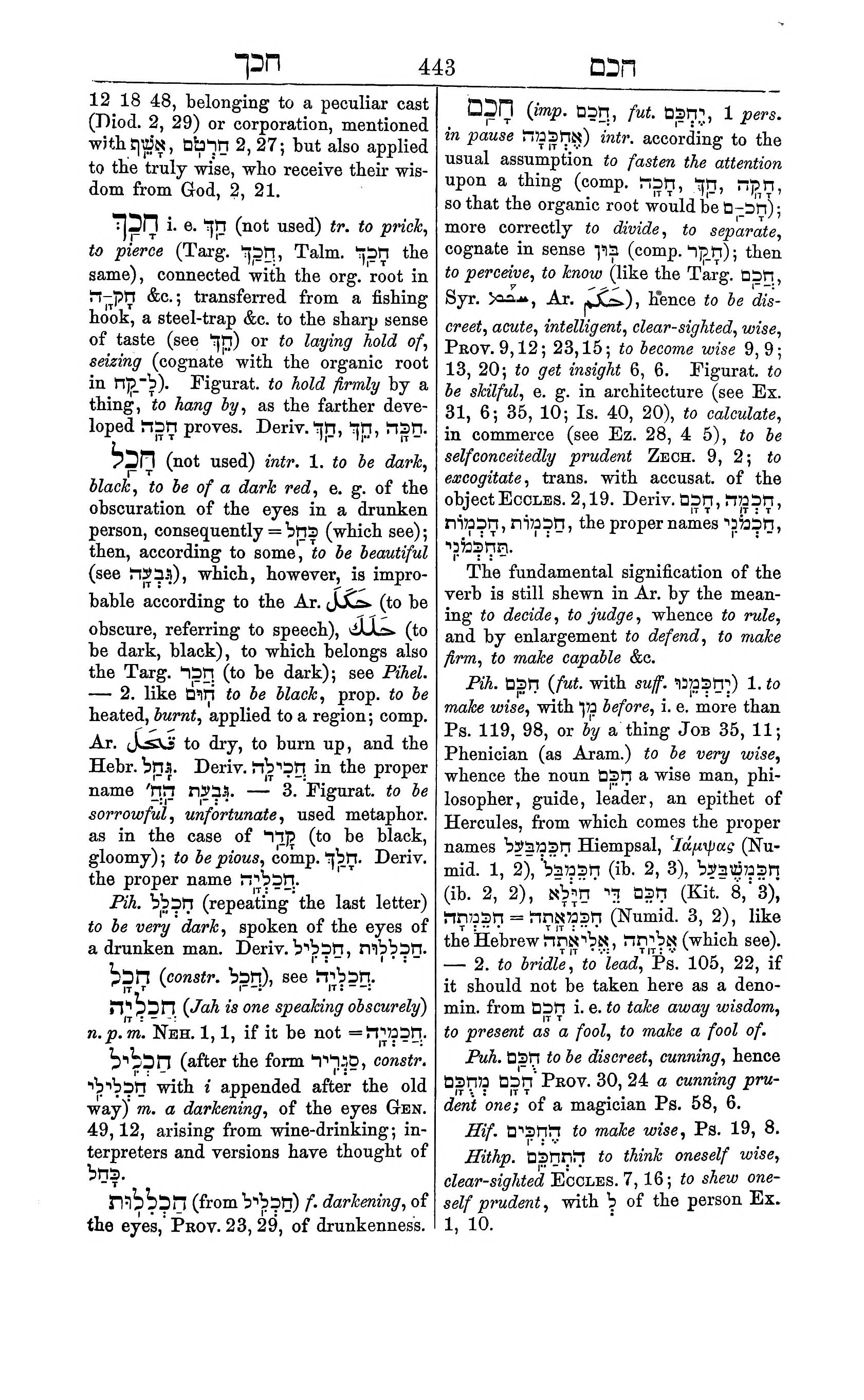 Fürst Lexicon Page 483