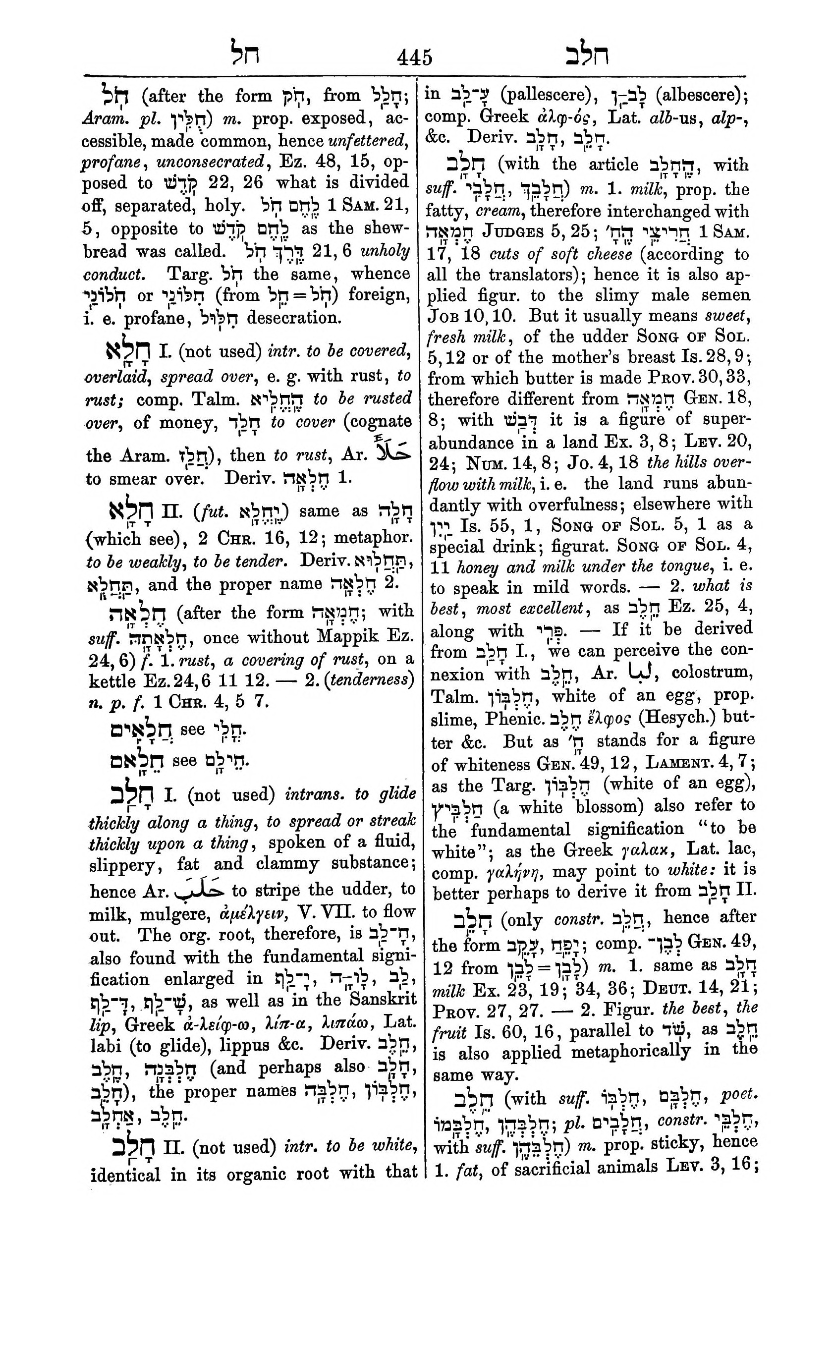 Fürst Lexicon Page 485