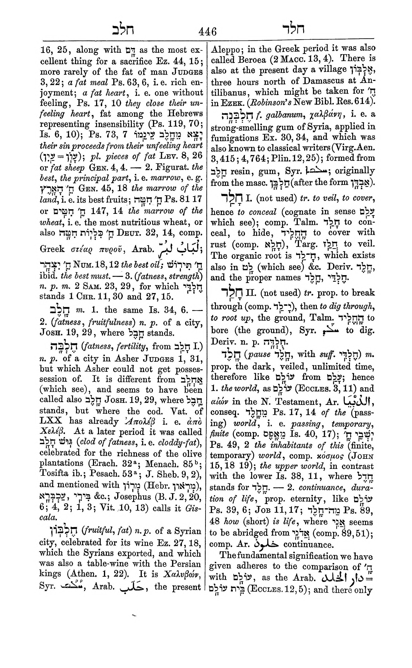 Fürst Lexicon Page 486