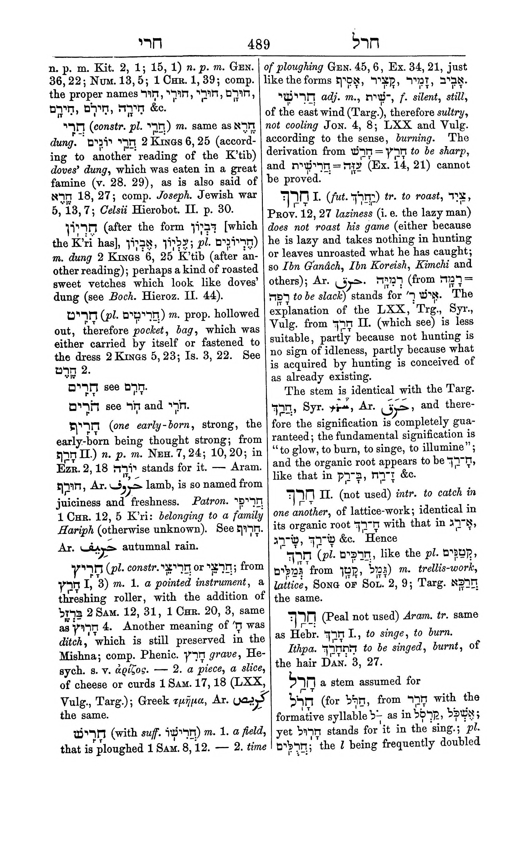 Fürst Lexicon Page 529