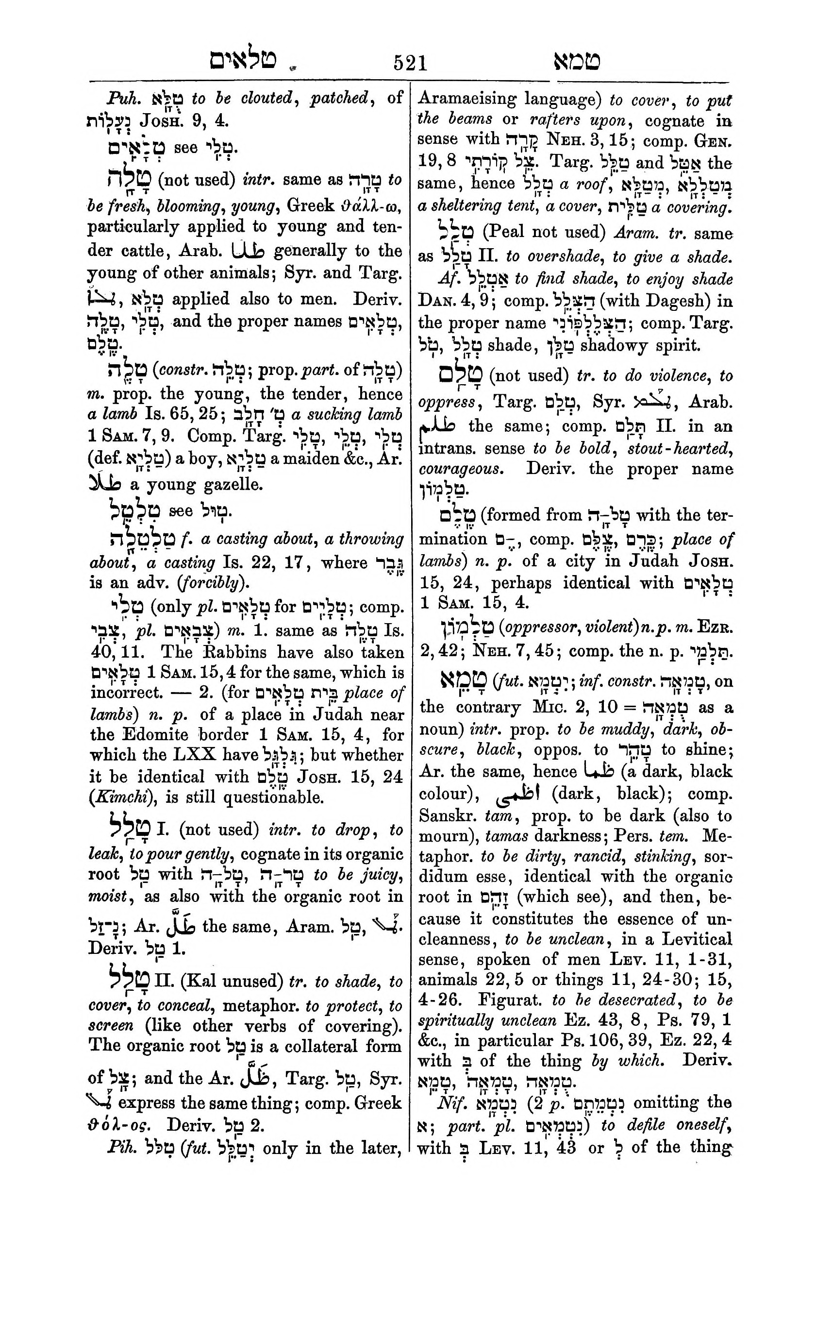 Fürst Lexicon Page 561