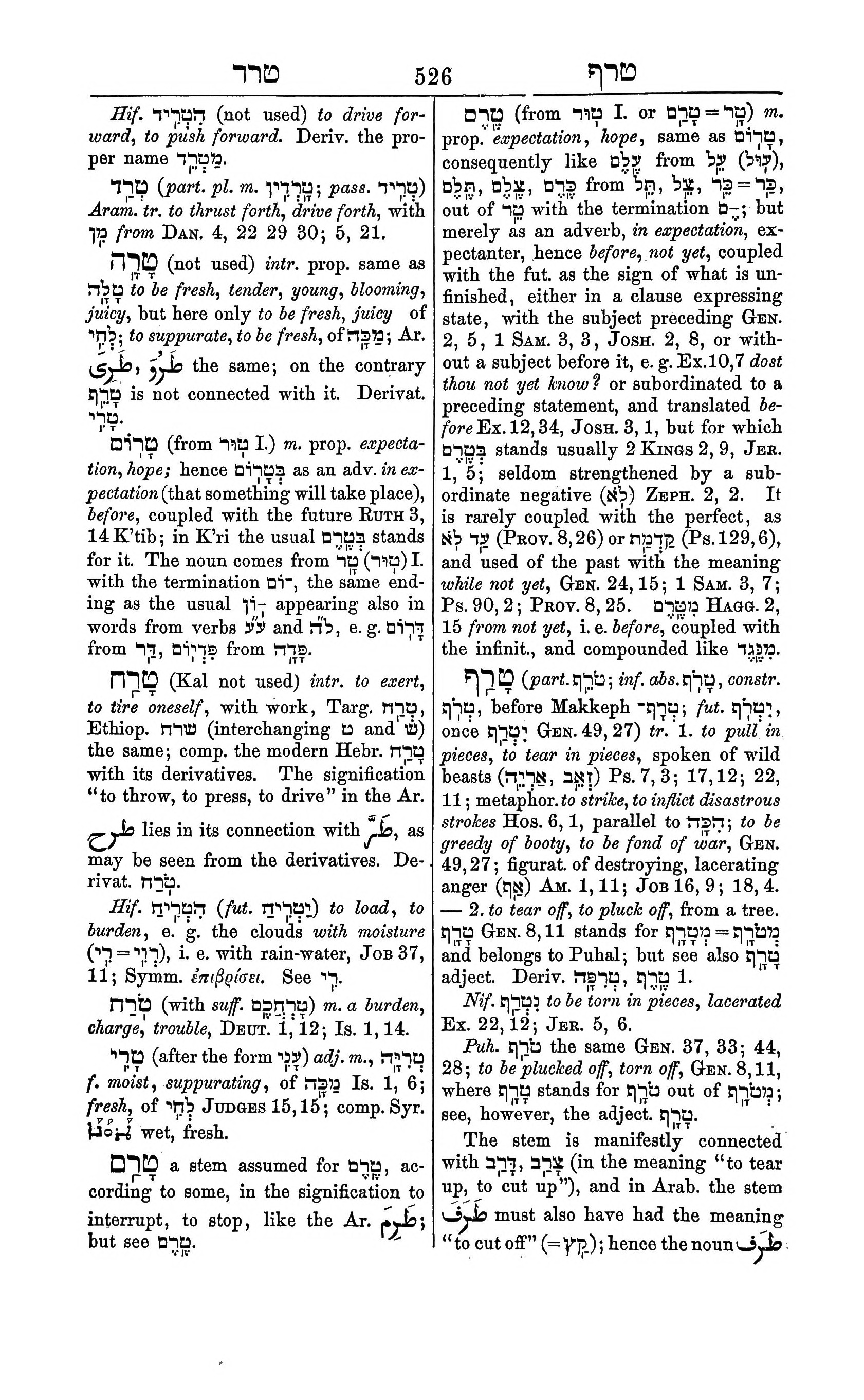 Fürst Lexicon Page 566