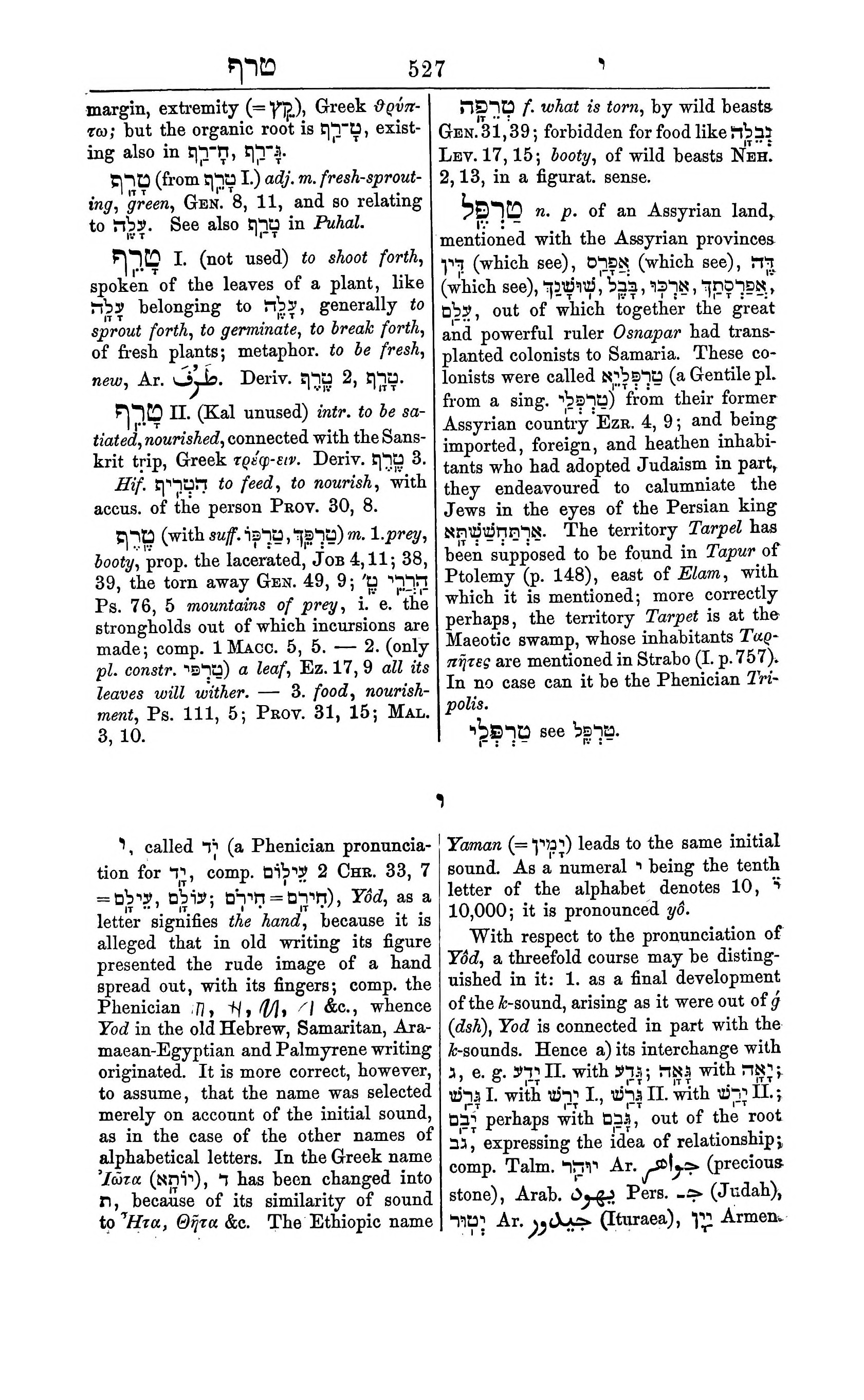 Fürst Lexicon Page 567