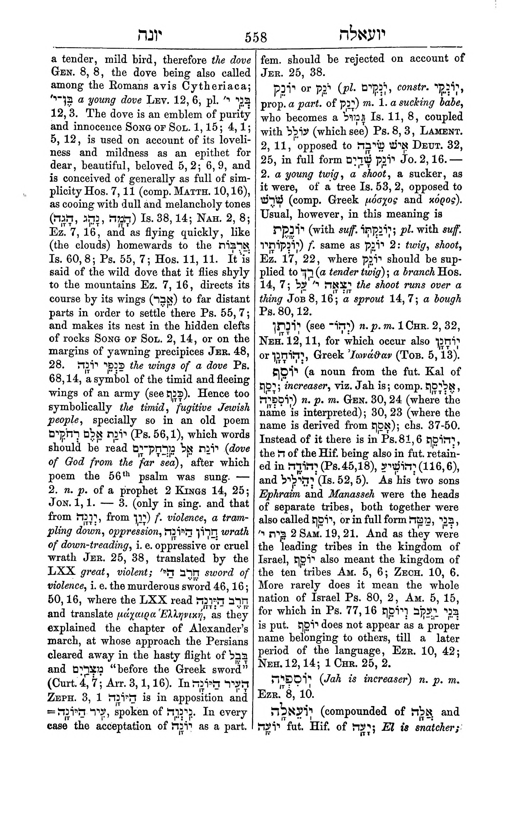 Fürst Lexicon Page 598
