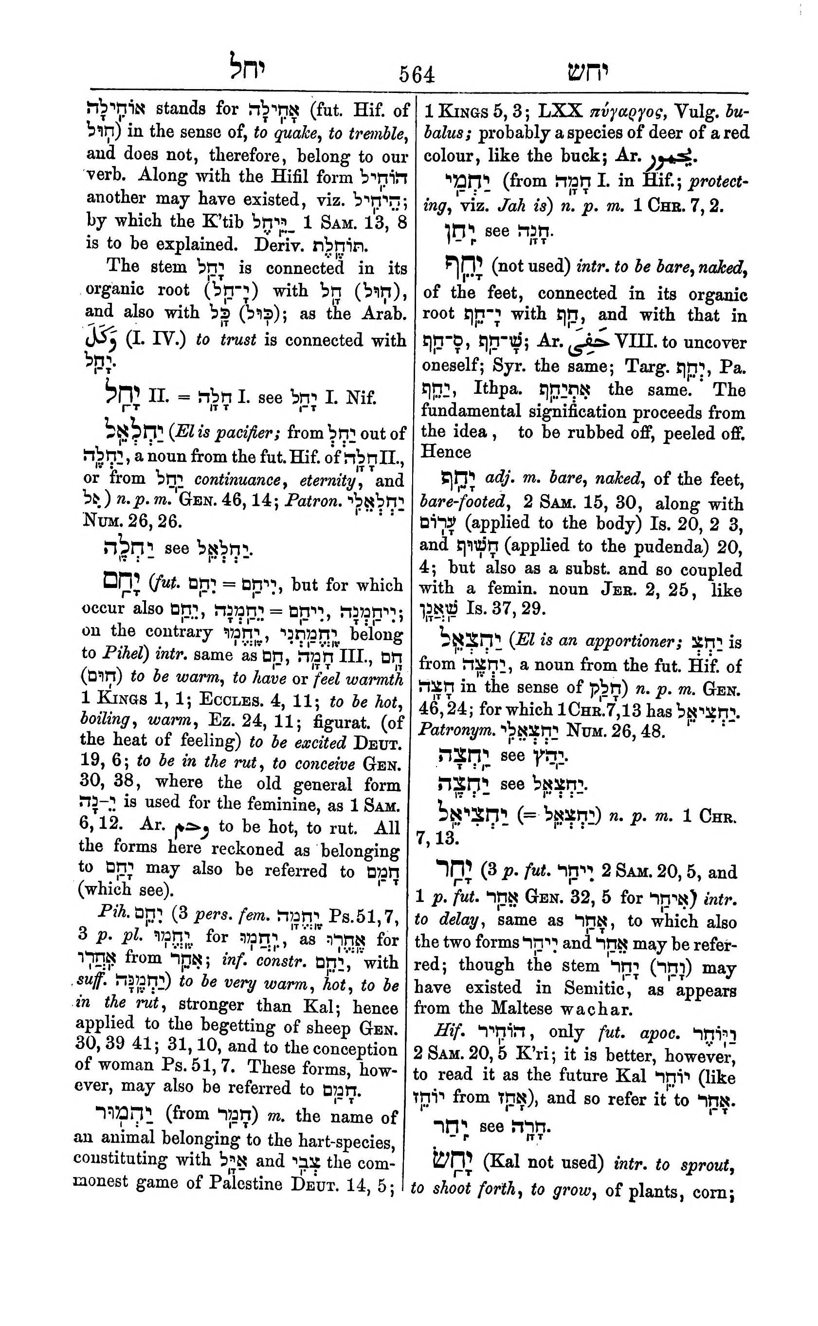Fürst Lexicon Page 604