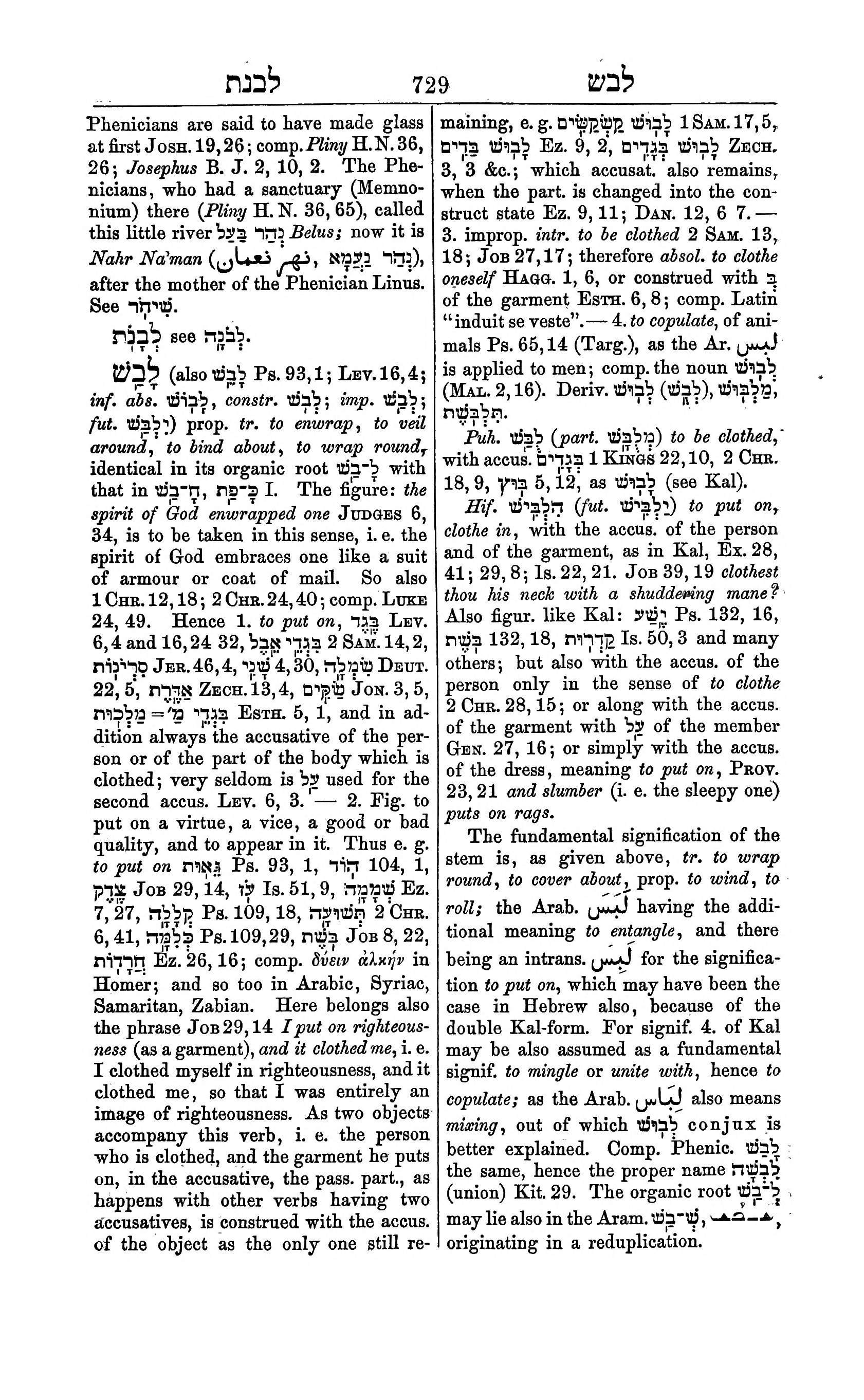 Fürst Lexicon Page 769