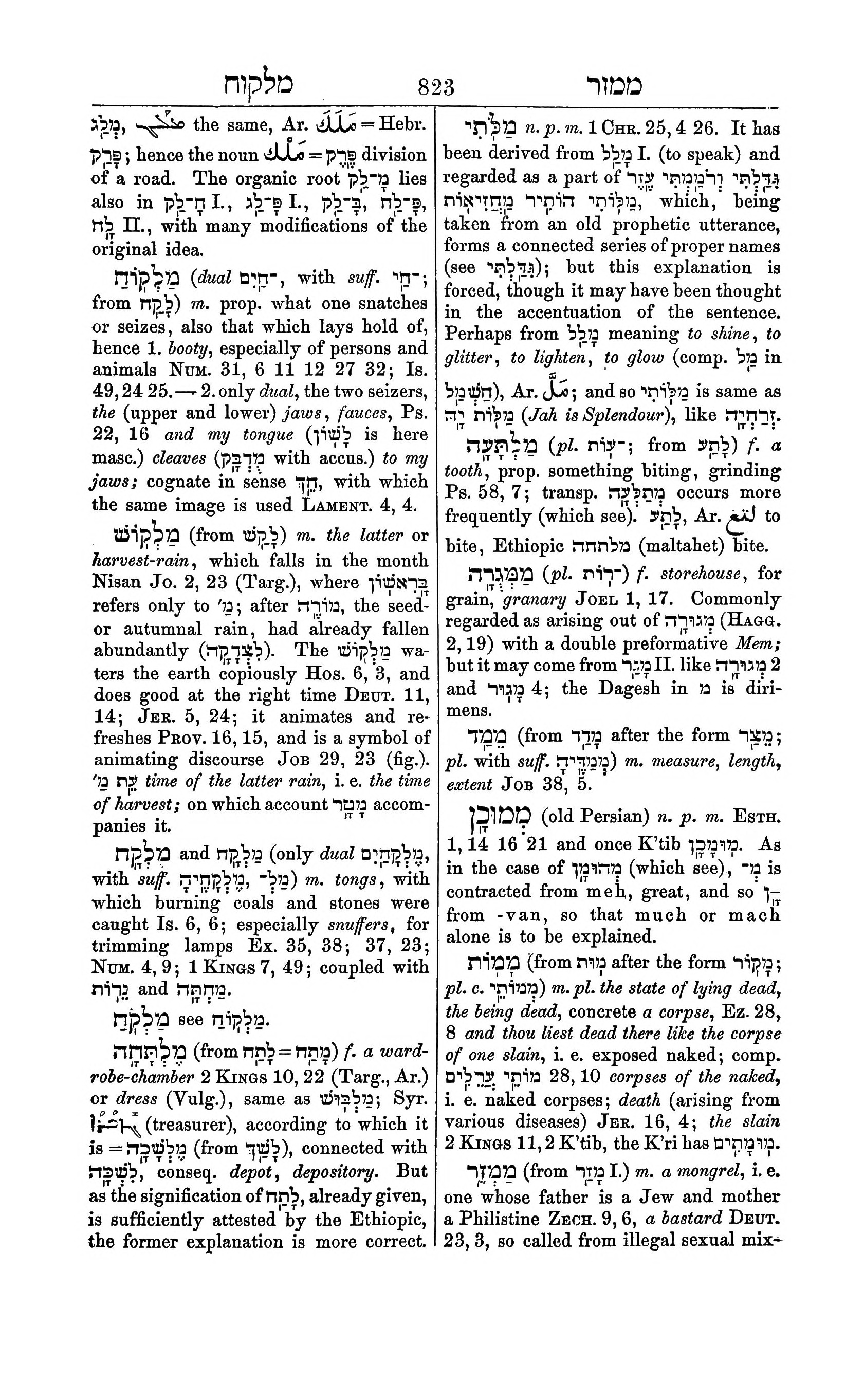 Fürst Lexicon Page 863