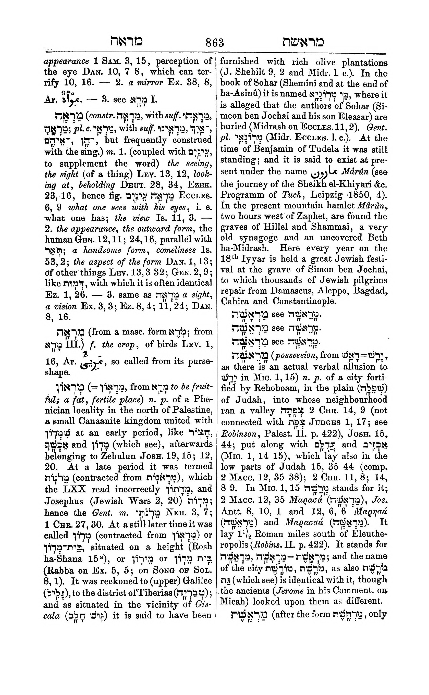 Fürst Lexicon Page 903