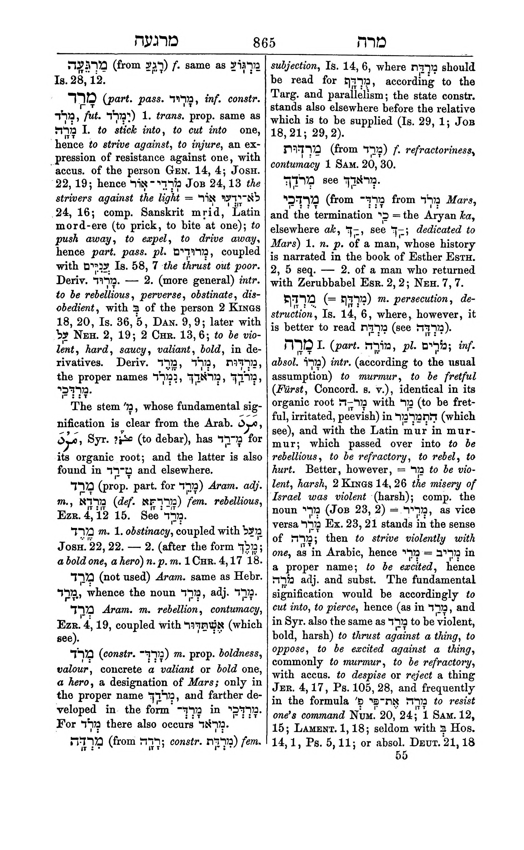 Fürst Lexicon Page 905