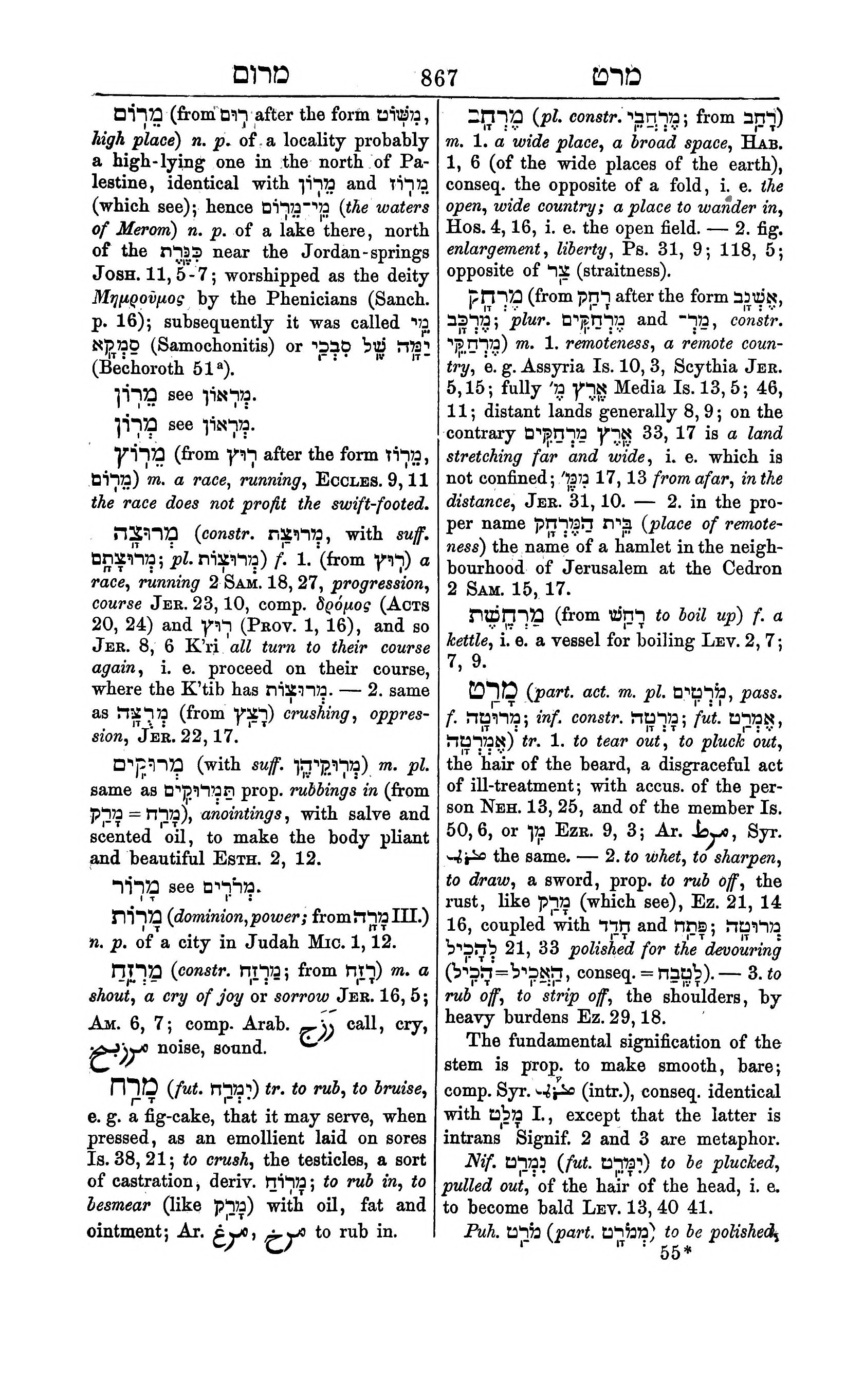 Fürst Lexicon Page 907