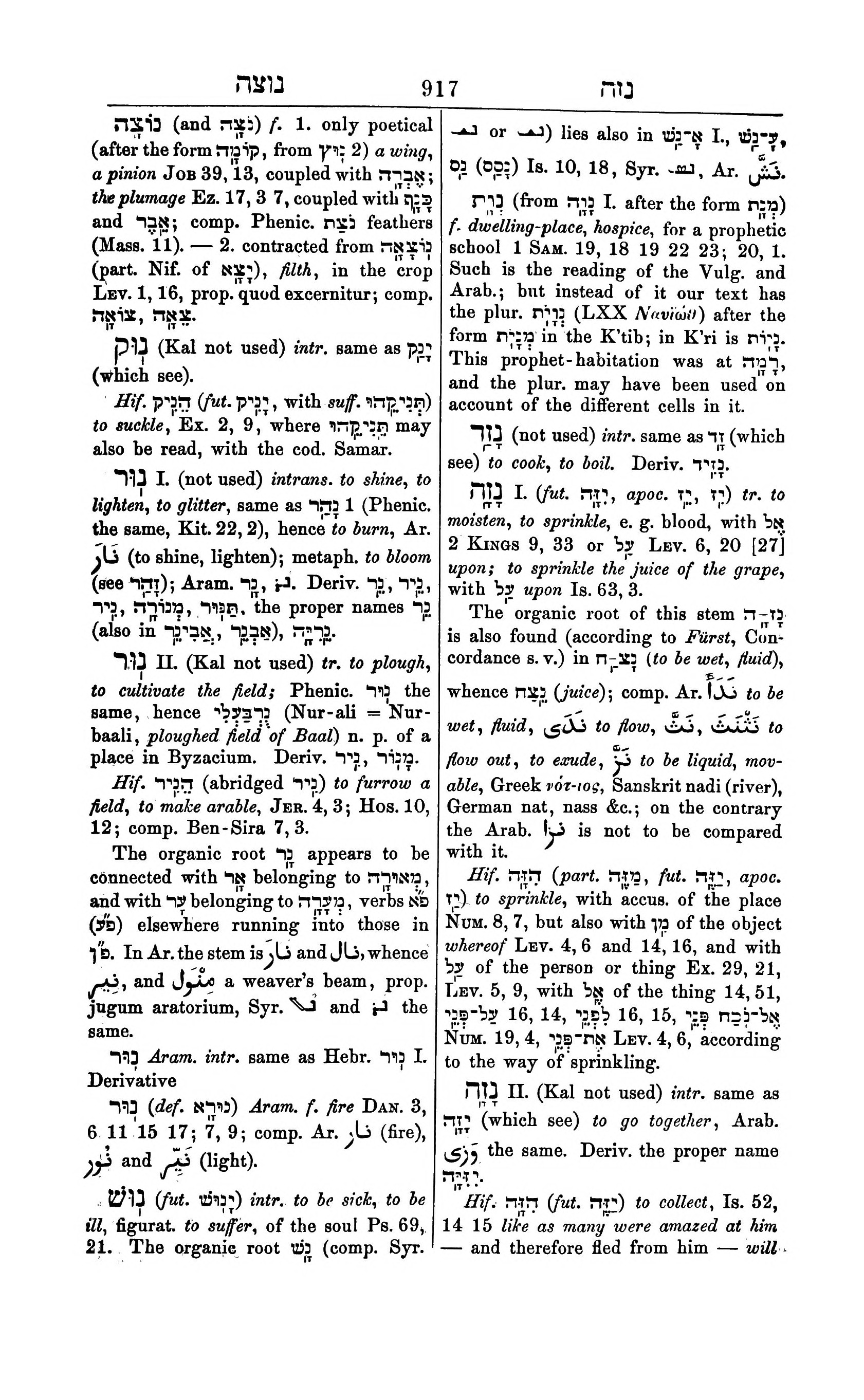 Fürst Lexicon Page 957