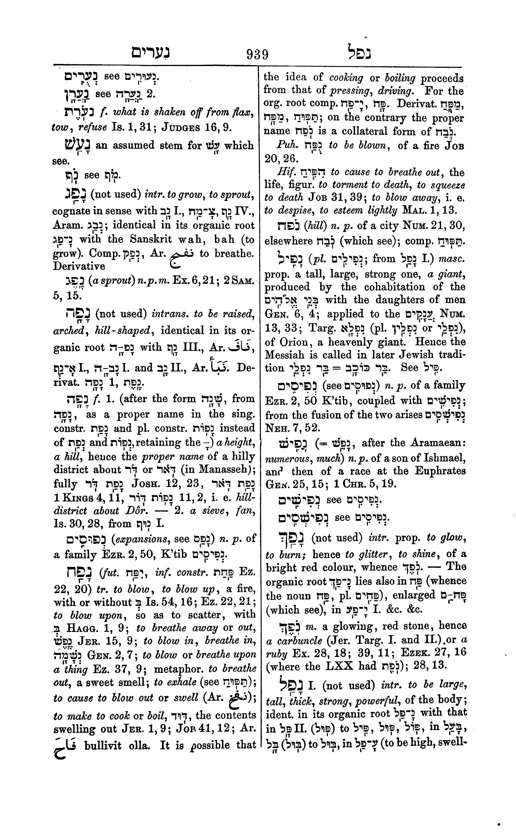 Fürst Lexicon Page 979
