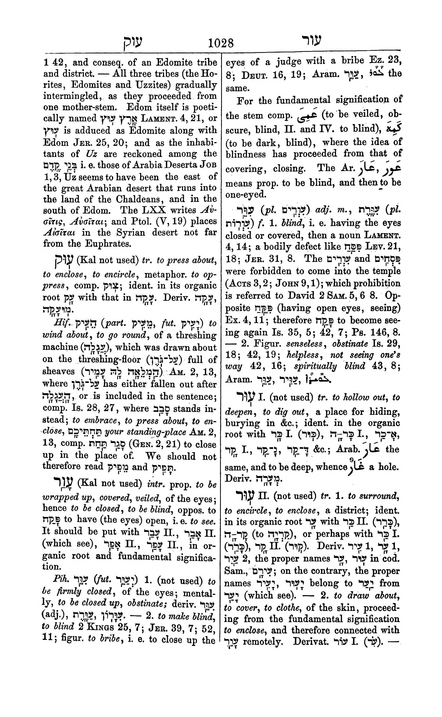 Fürst Lexicon Page 1068