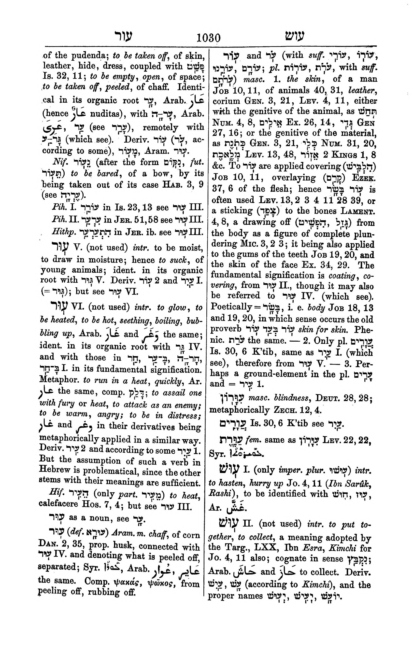 Fürst Lexicon Page 1070