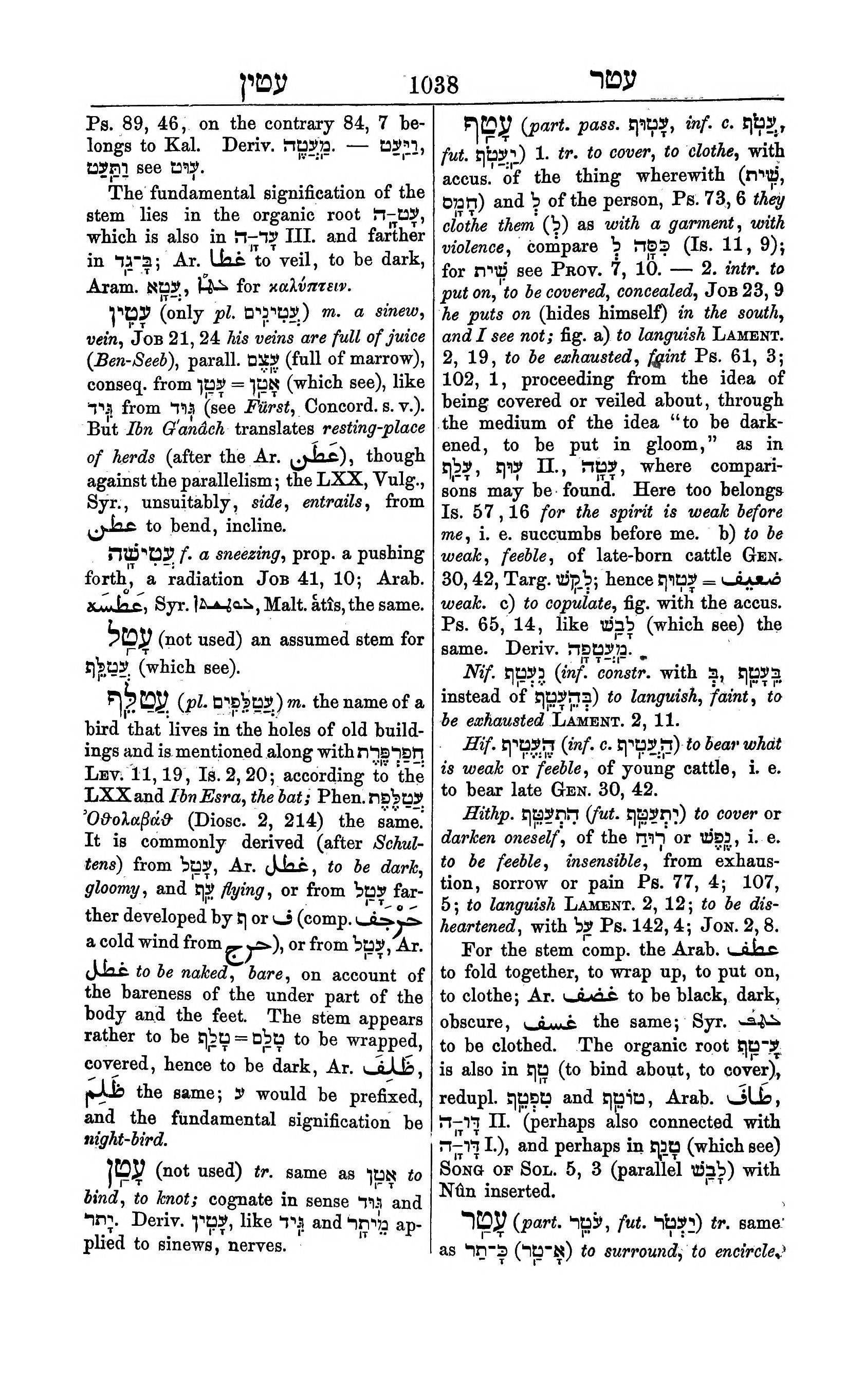 Fürst Lexicon Page 1078