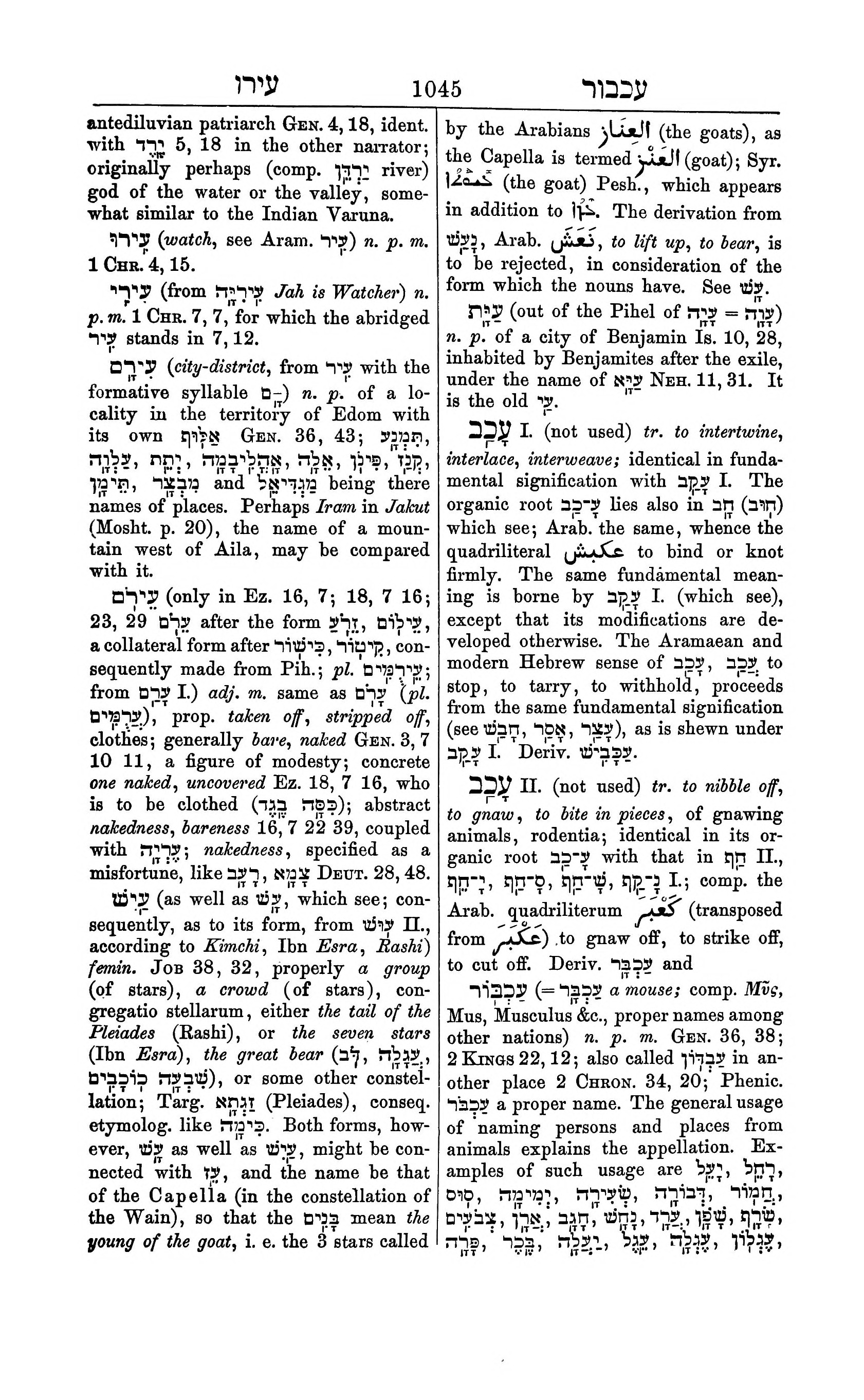 Fürst Lexicon Page 1085