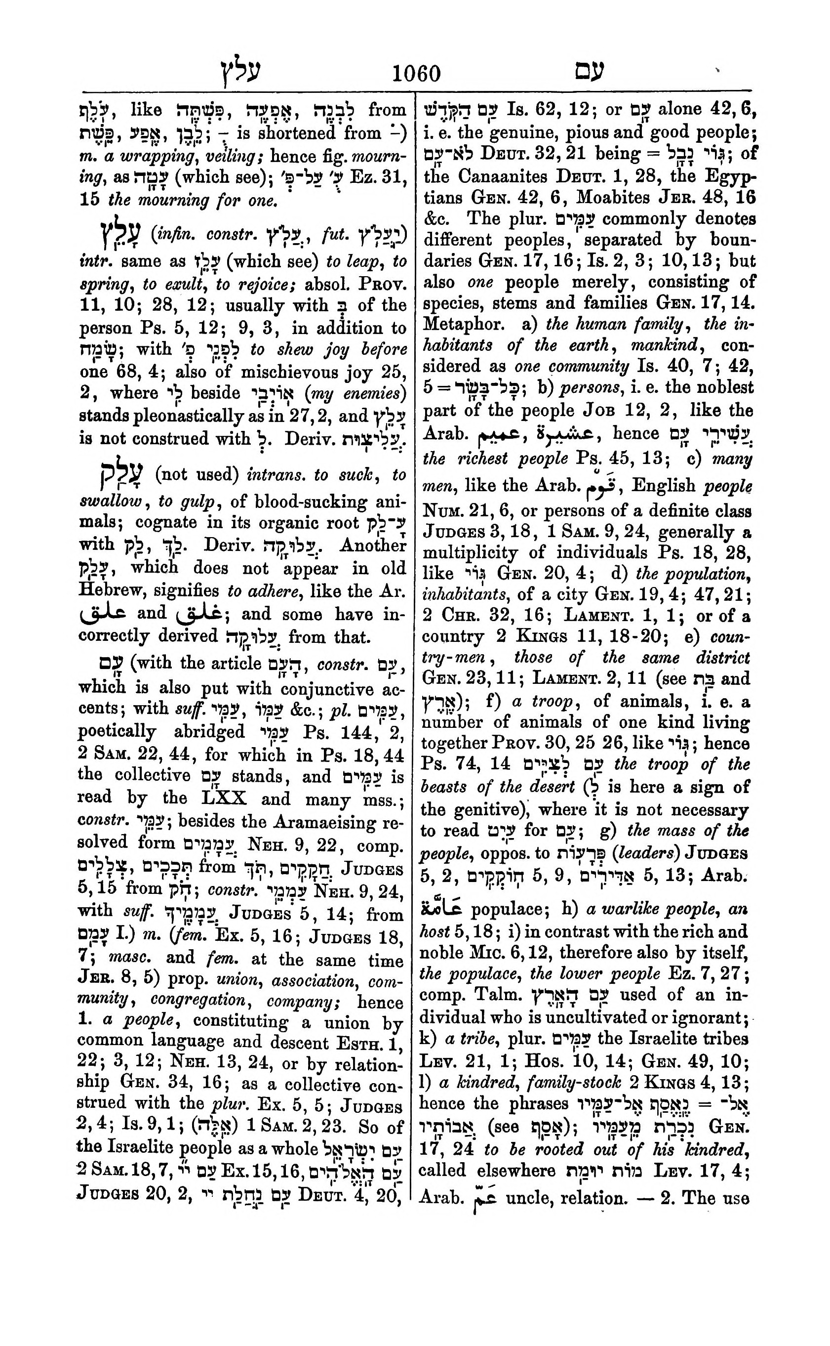 Fürst Lexicon Page 1100