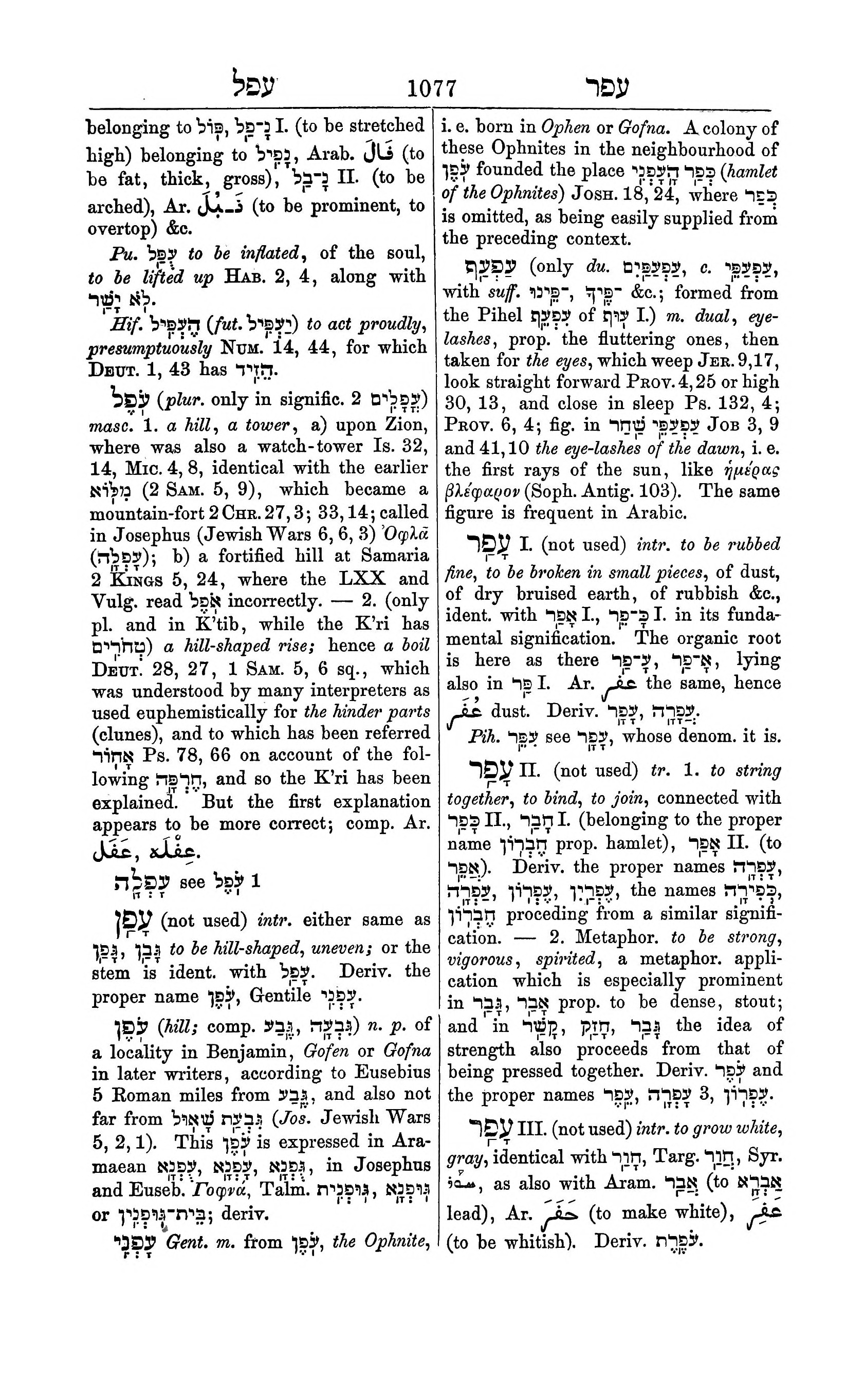 Fürst Lexicon Page 1117