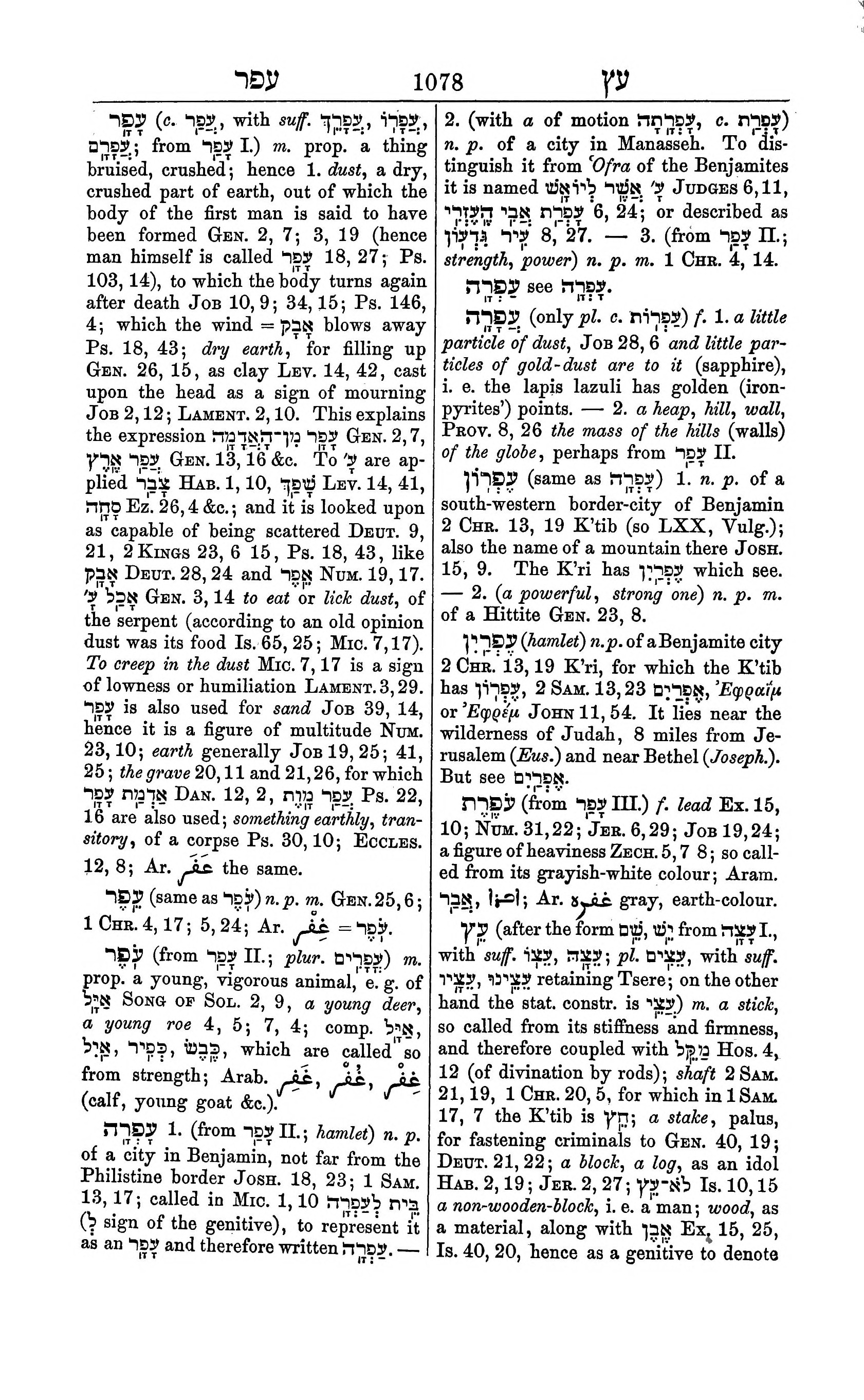 Fürst Lexicon Page 1118