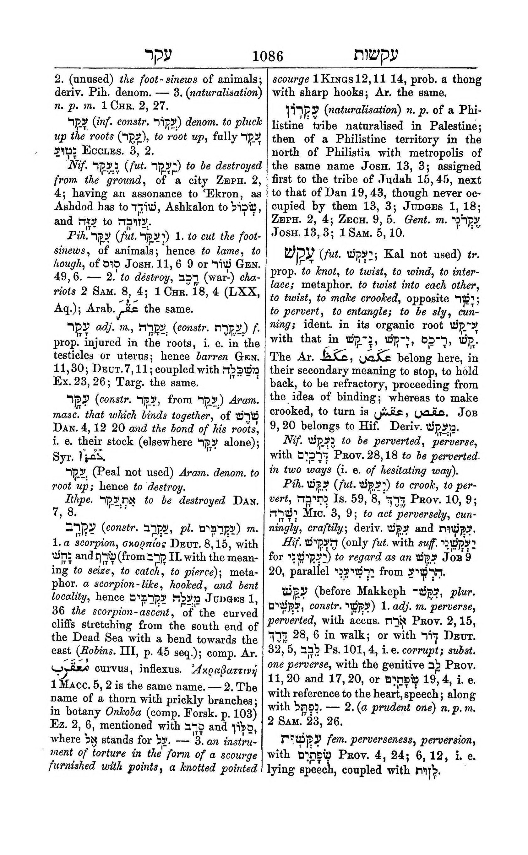 Fürst Lexicon Page 1126