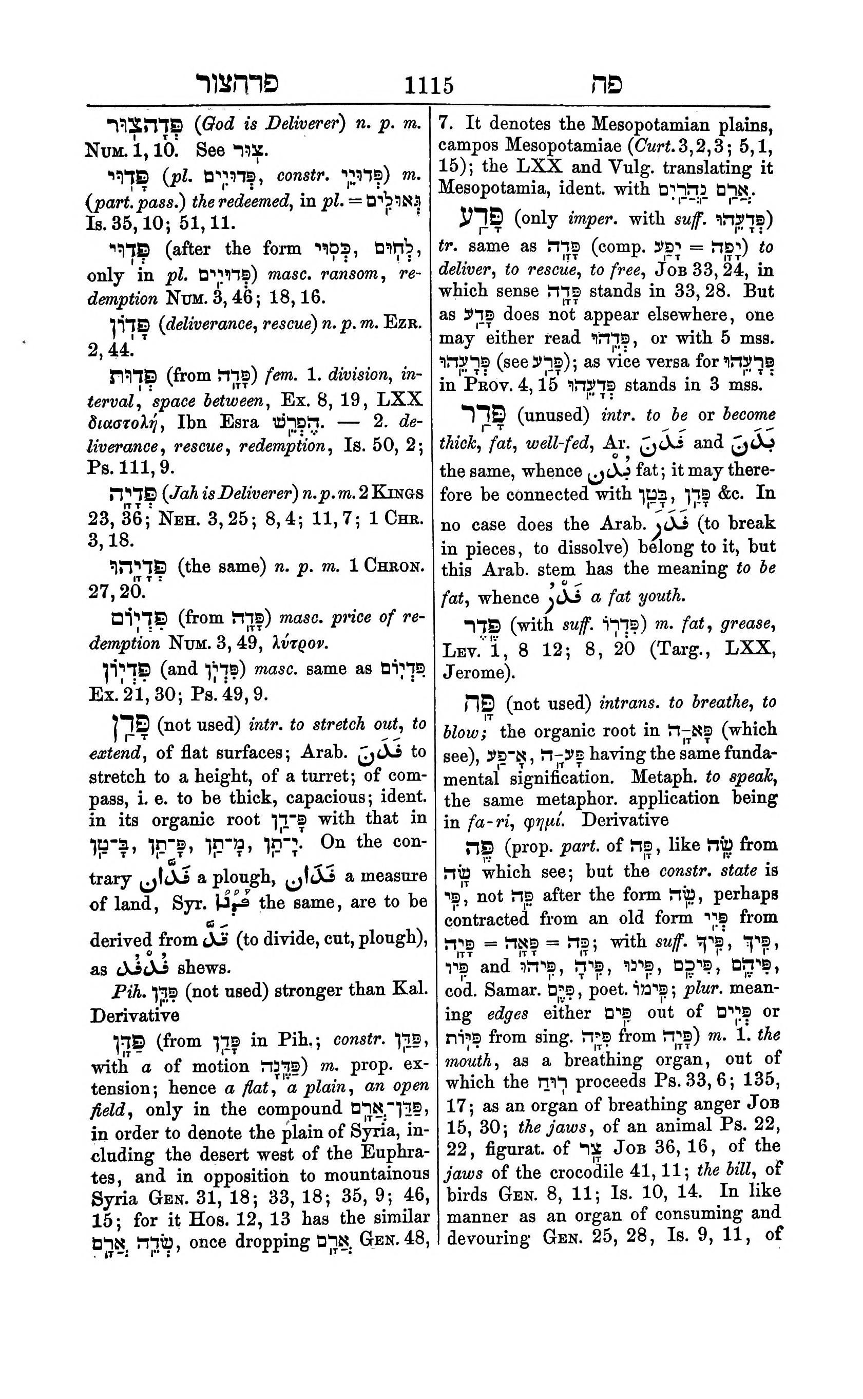 Fürst Lexicon Page 1155