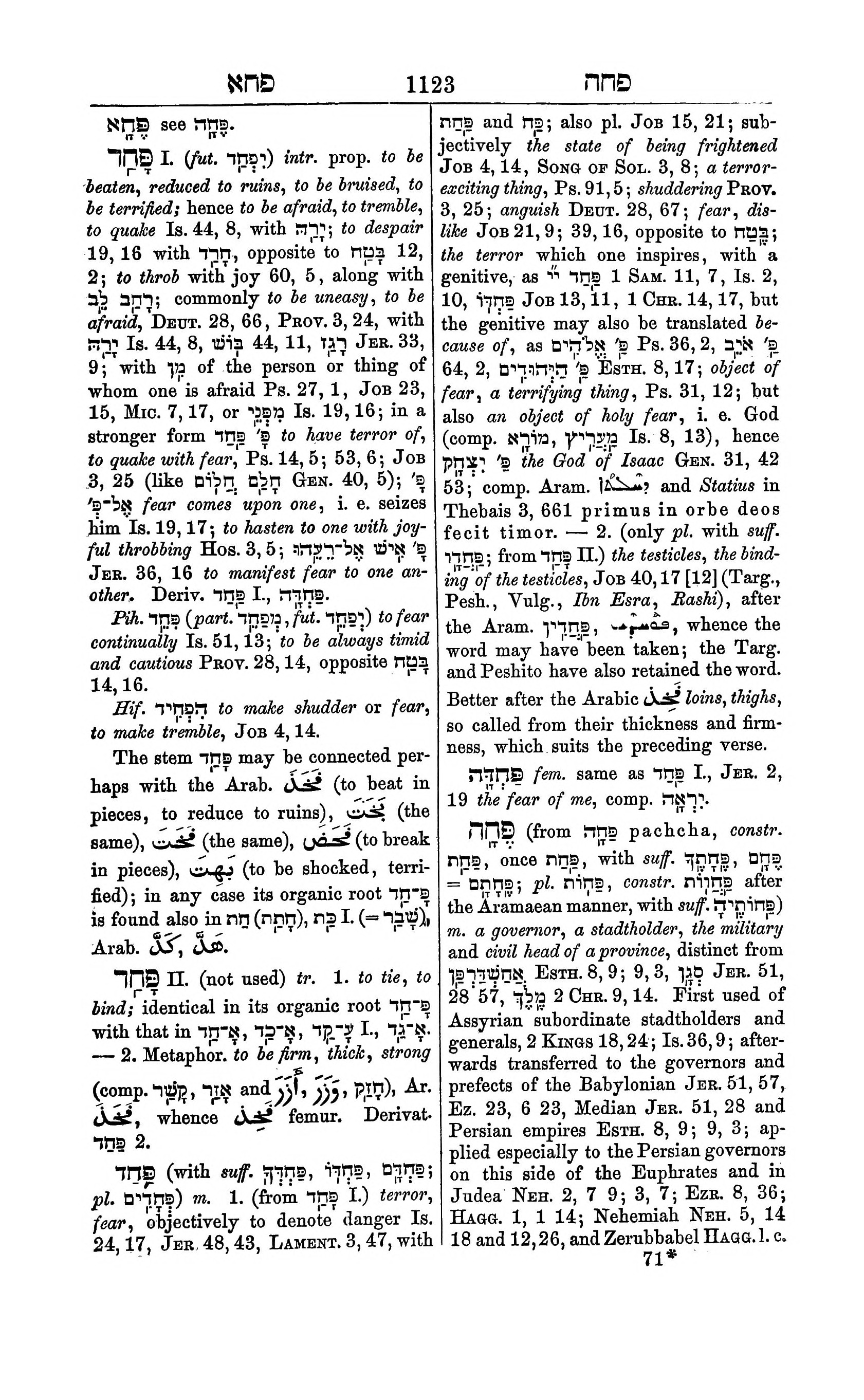 Fürst Lexicon Page 1163