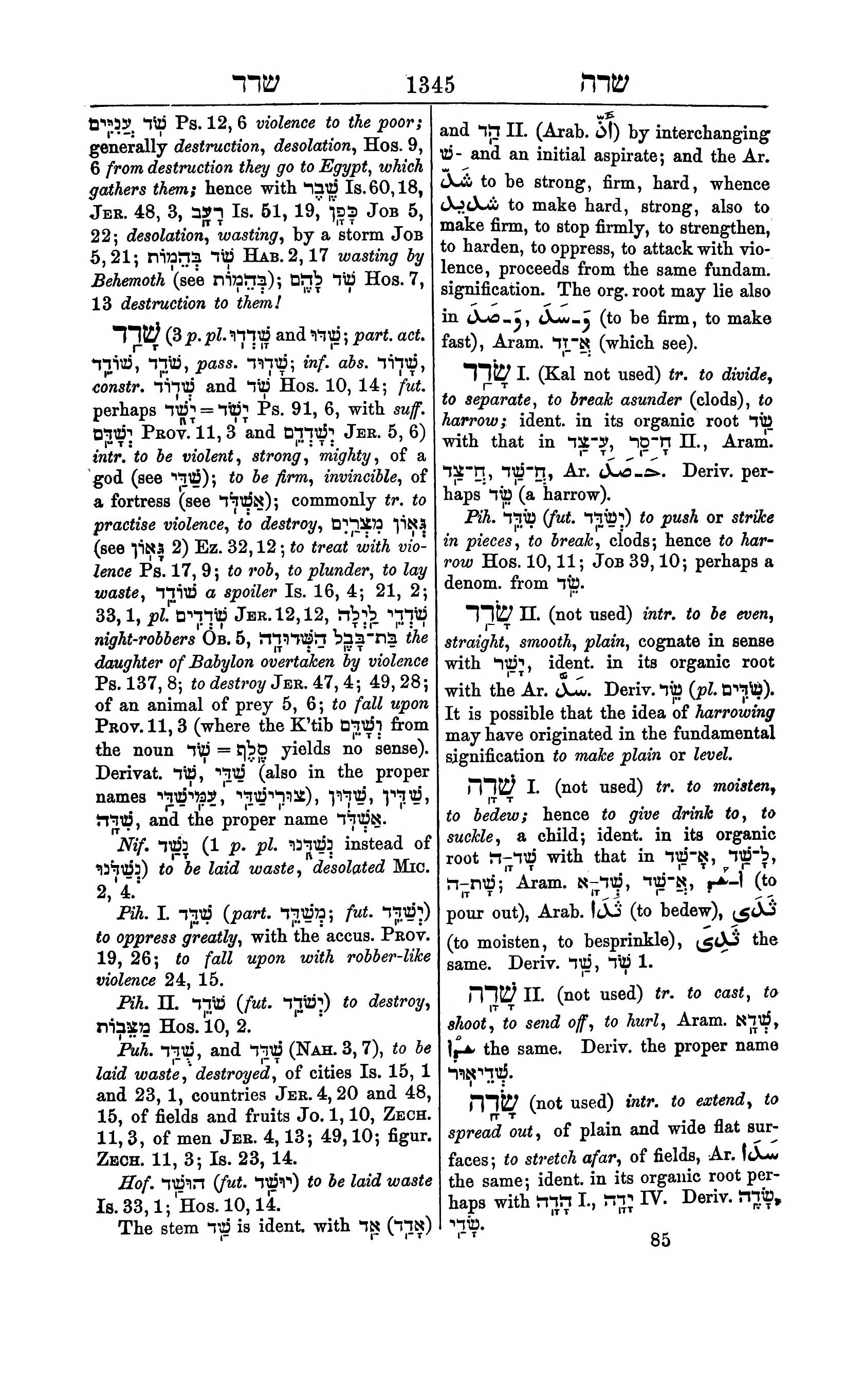 Fürst Lexicon Page 1385