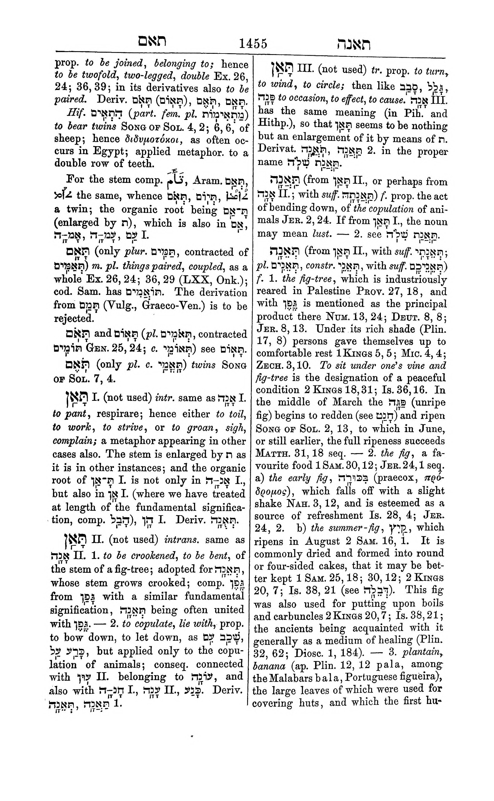 Fürst Lexicon Page 1495