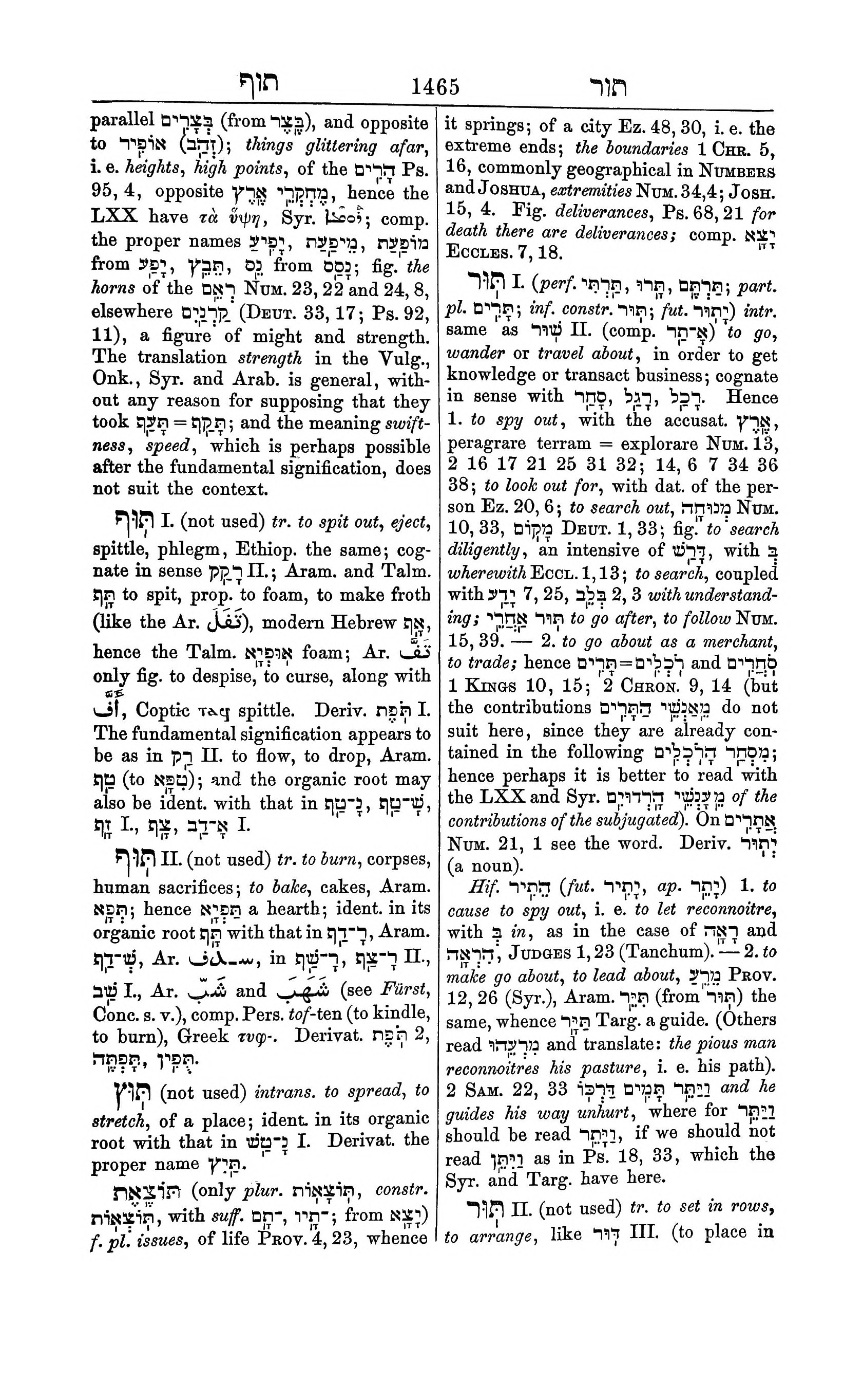 Fürst Lexicon Page 1505