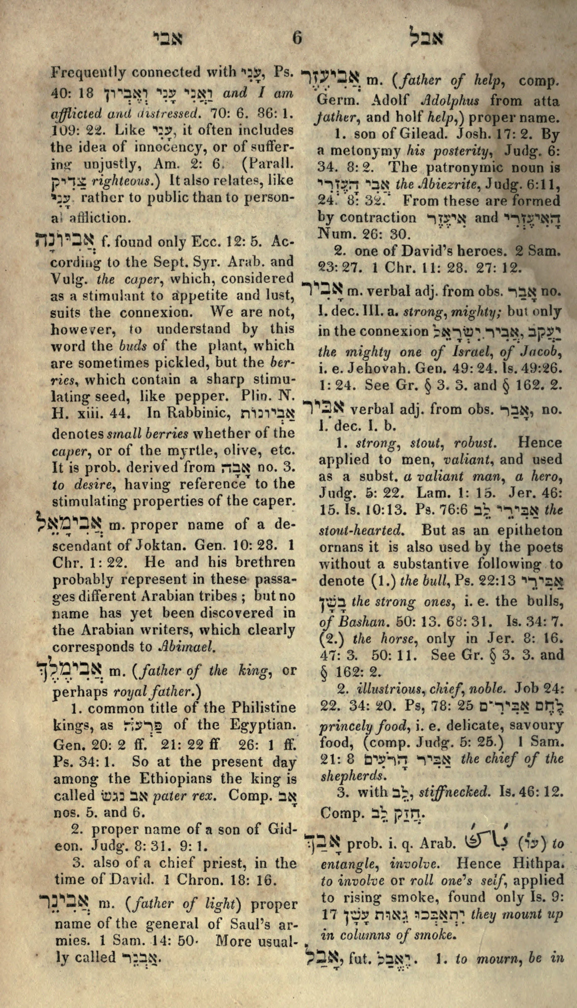 Gesenius Lexicon Page 20