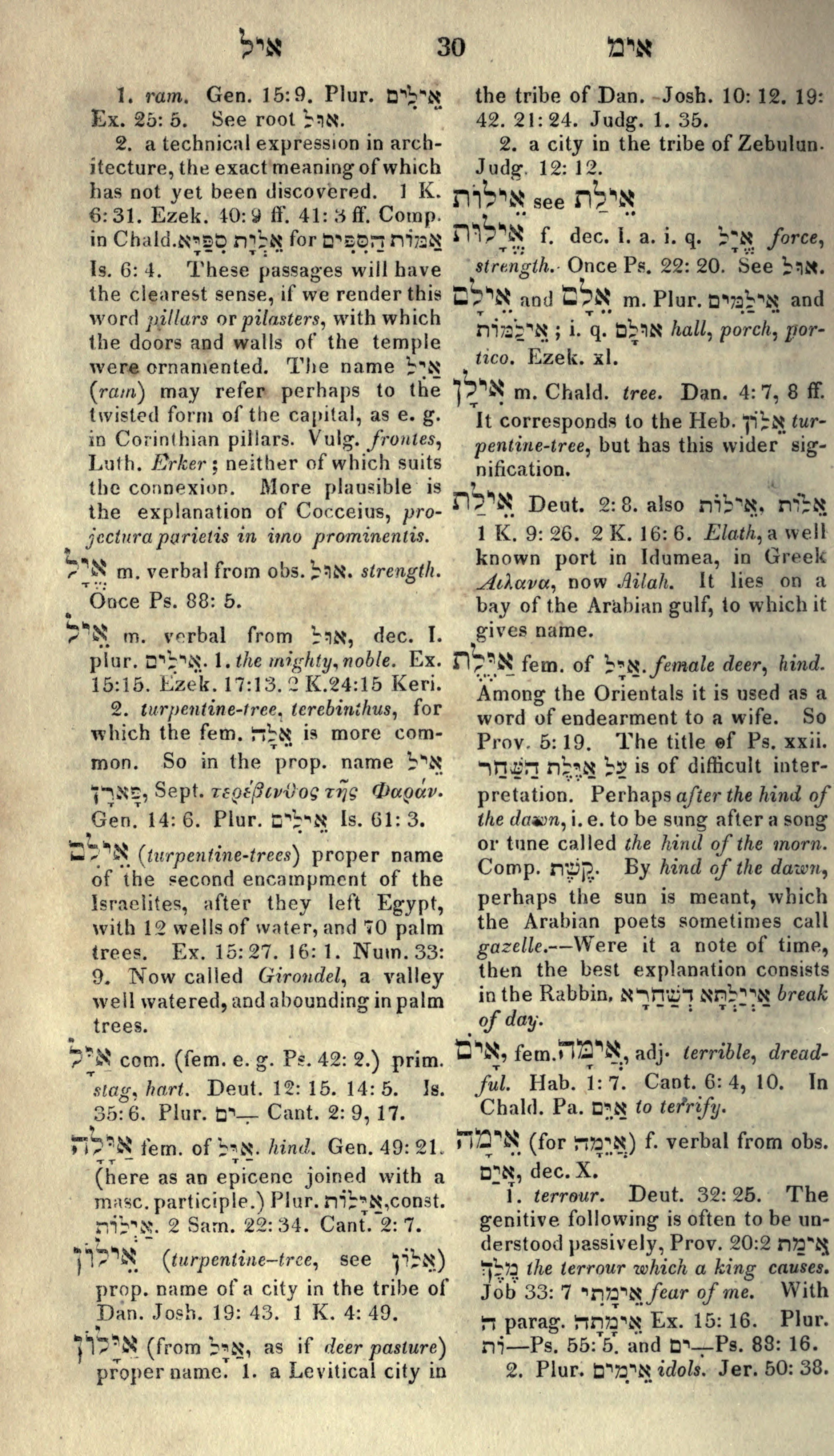 Gesenius Lexicon Page 44